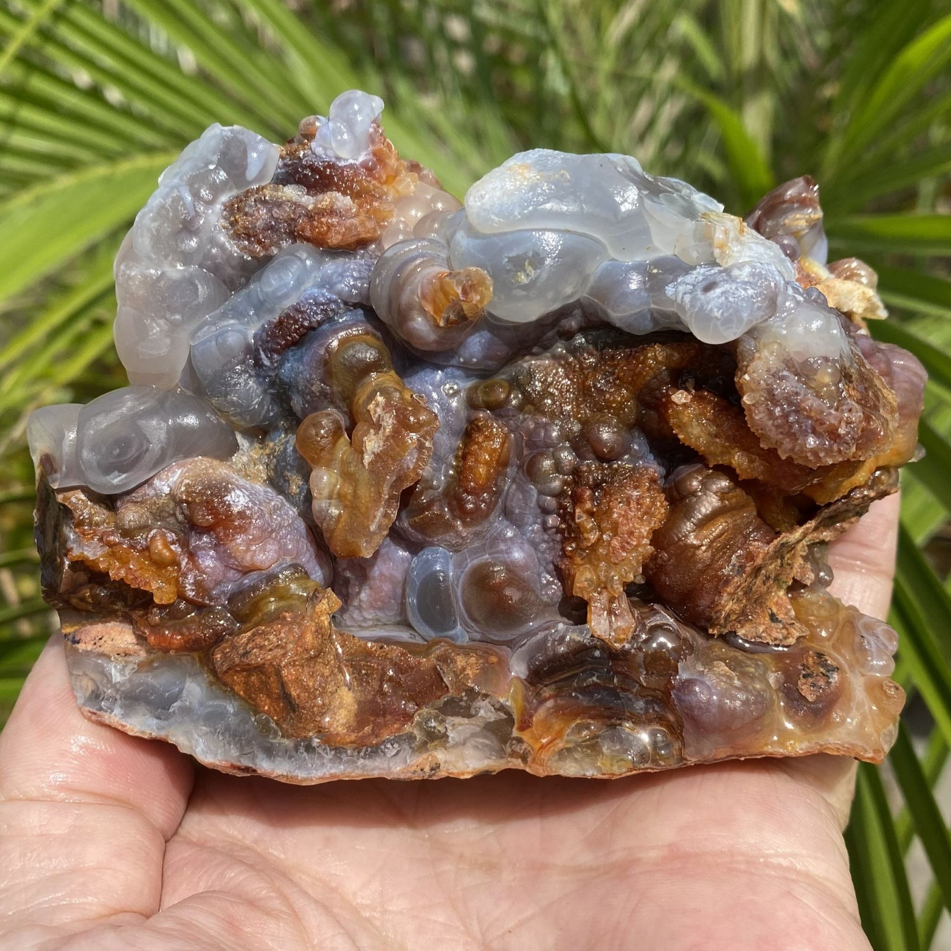 Slaughter Mountain High Grade Fire Agate Rough Mineral Specimen held in a hand with a natural background