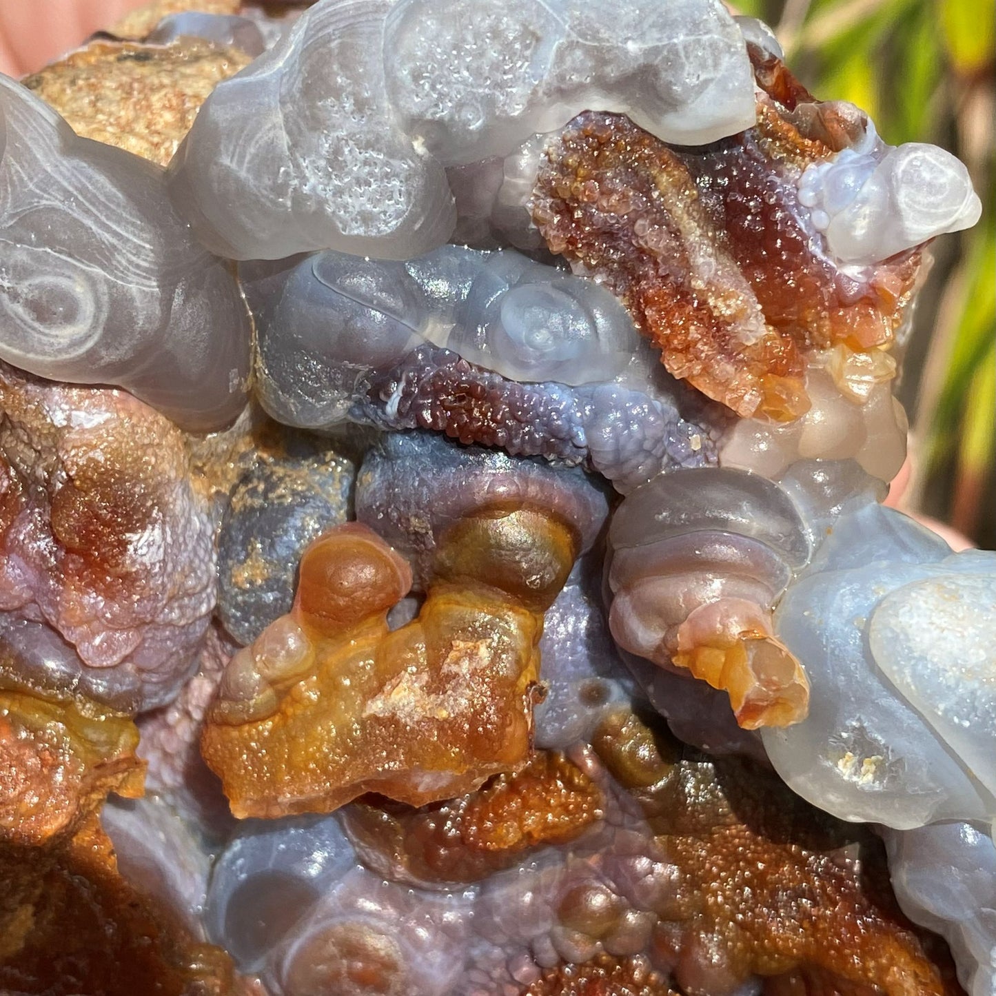 Close-up of a Slaughter Mountain High Grade Fire Agate Rough Mineral Specimen with a blurred natural background