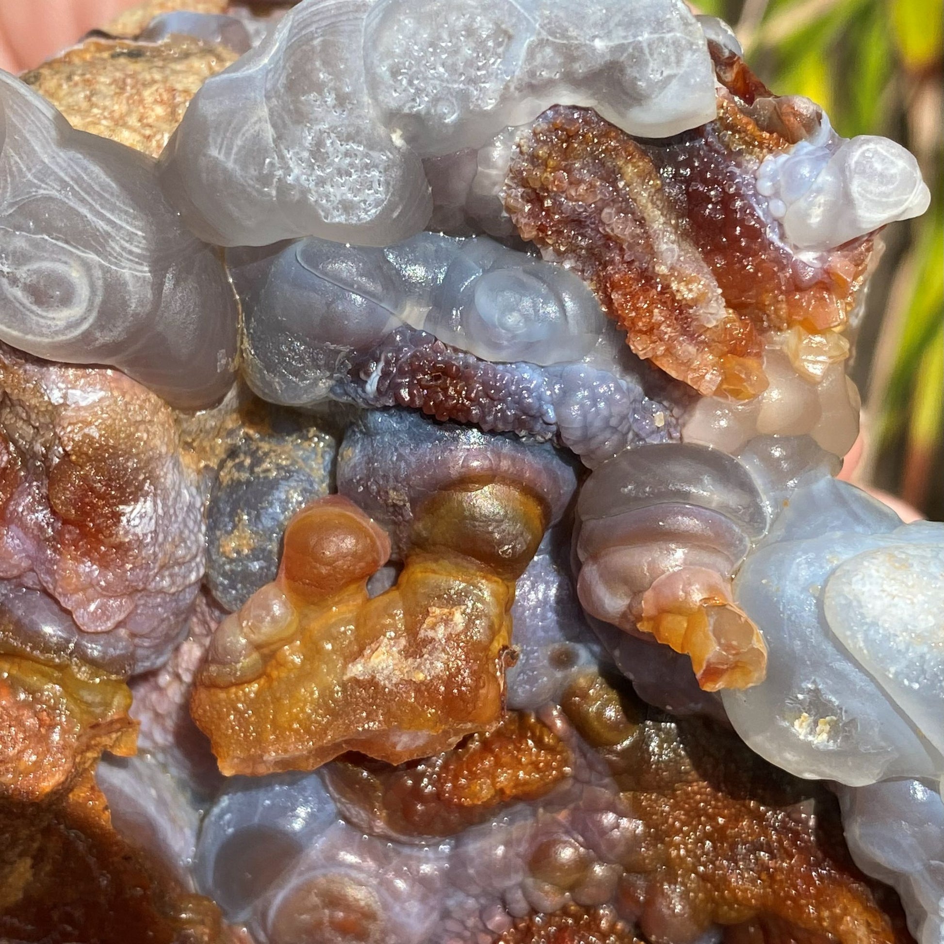 Close-up of a Slaughter Mountain High Grade Fire Agate Rough Mineral Specimen with a blurred natural background