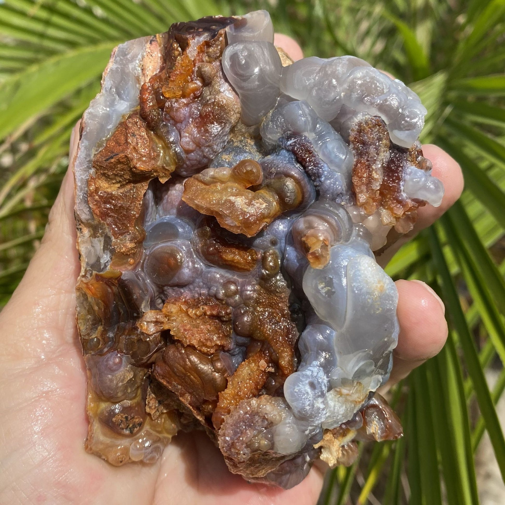 Hand holding a Slaughter Mountain High Grade Fire Agate Rough Mineral Specimen with brown and clear colors against a green leafy background