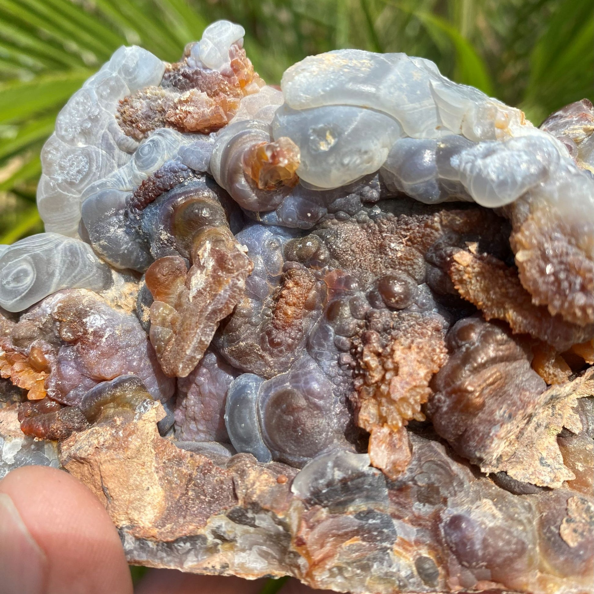 Close-up of a Slaughter Mountain High Grade Fire Agate Rough Mineral Specimen rock with crystals and minerals
