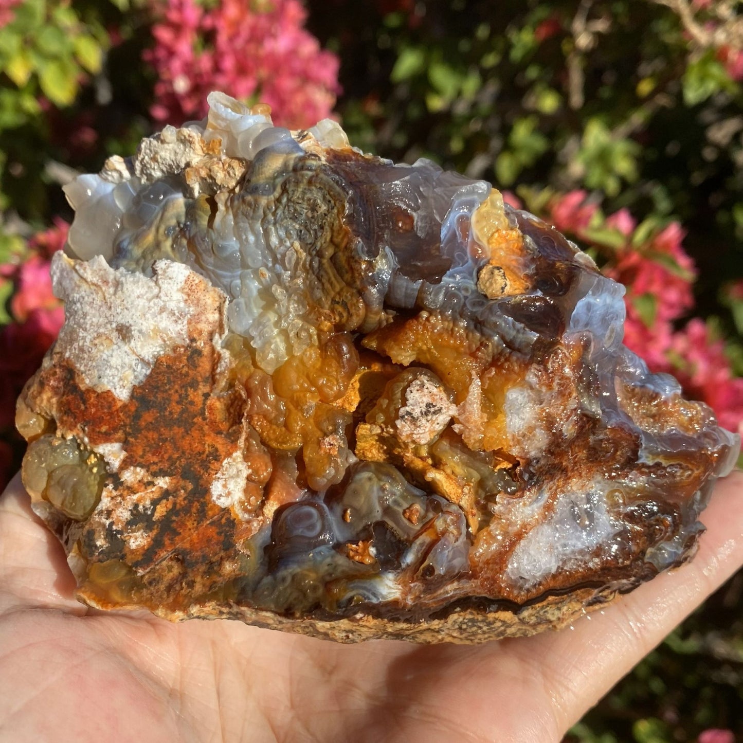 Hand holding a rough, multicolored Slaughter Mountain Fire Agate Rough Mineral Specimen with a blurred natural background