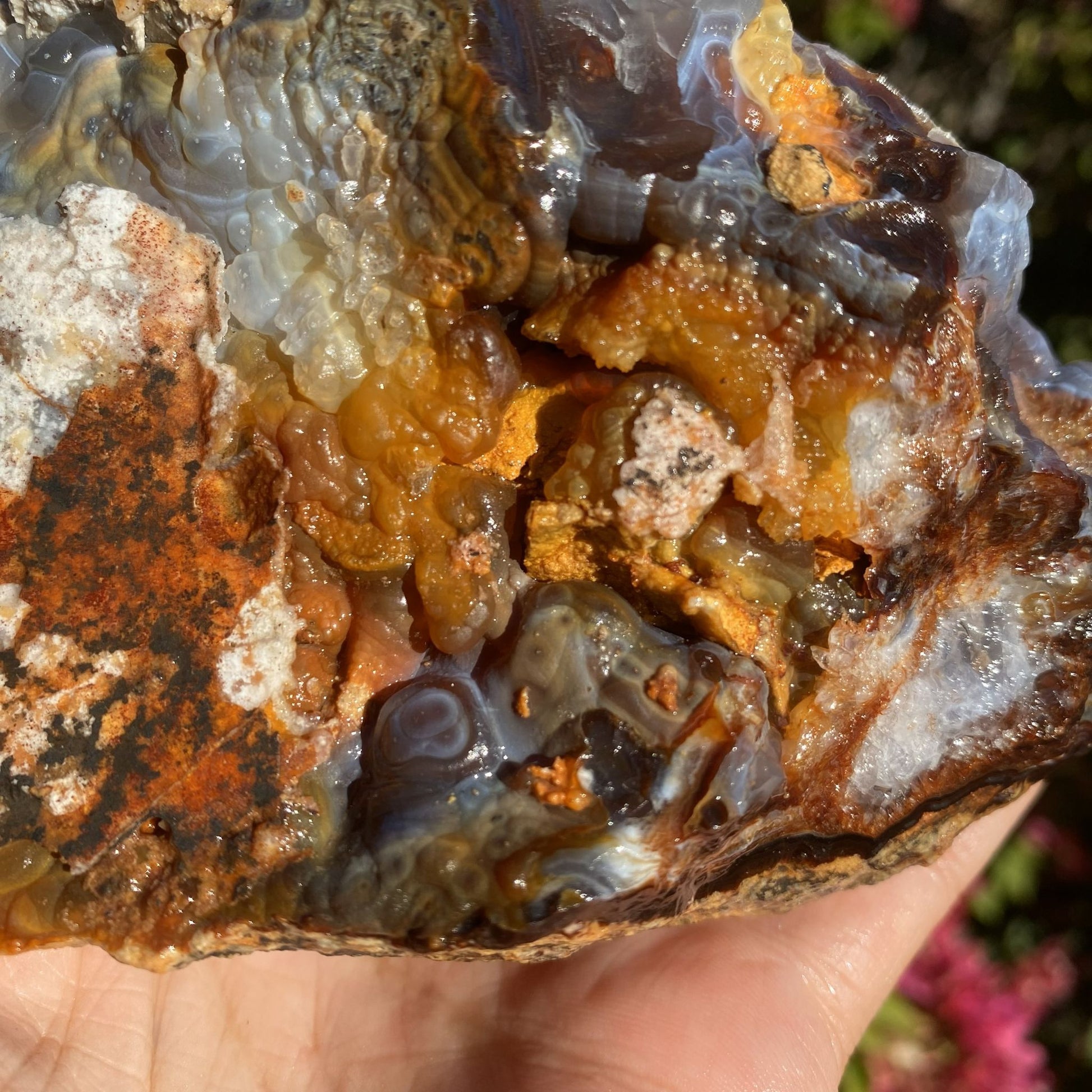 Close-up of a hand holding a Slaughter Mountain Fire Agate Rough Mineral Specimen with orange and gray colors.