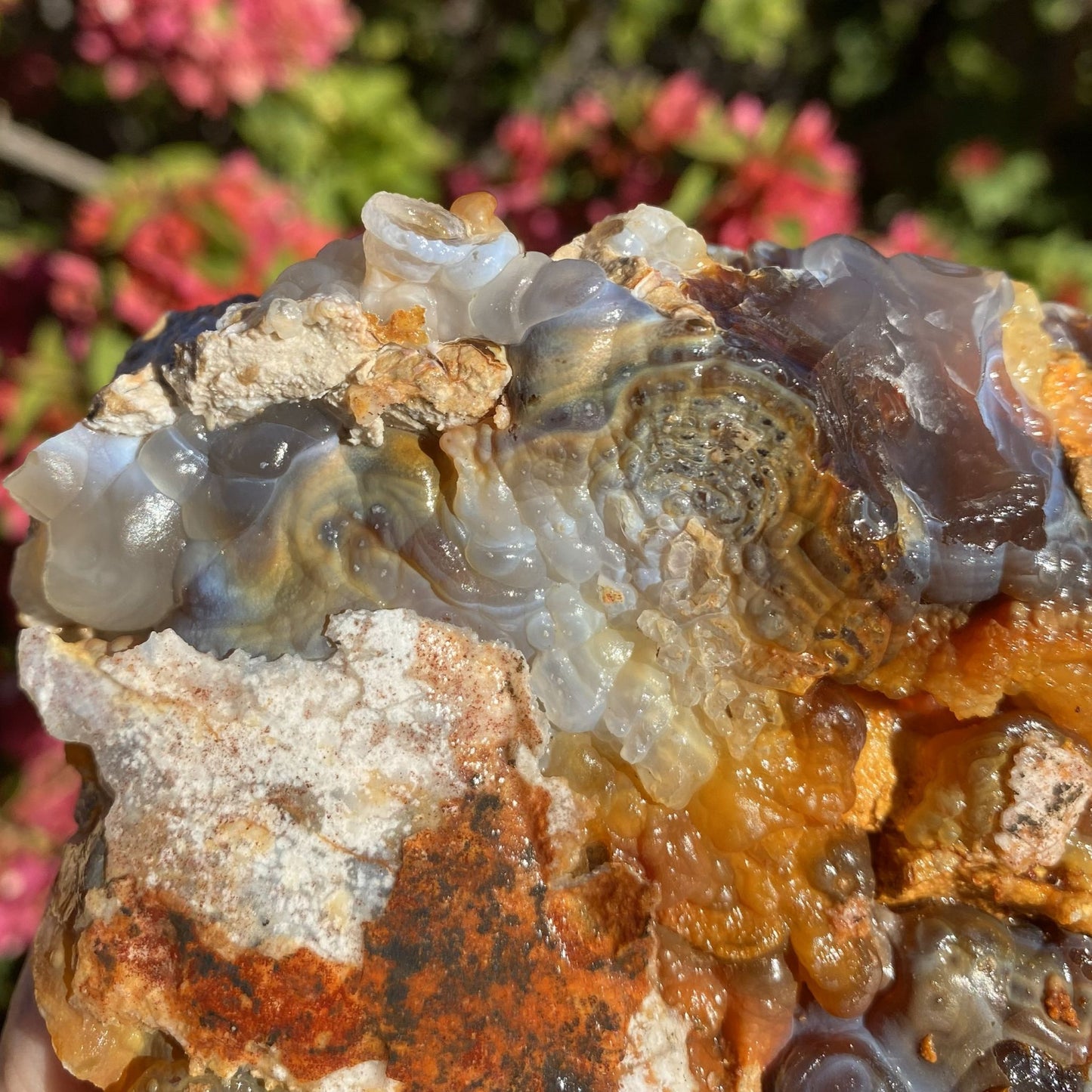 Close-up of a Slaughter Mountain Fire Agate Rough Mineral Specimen with orange and gray colors against a blurred natural background