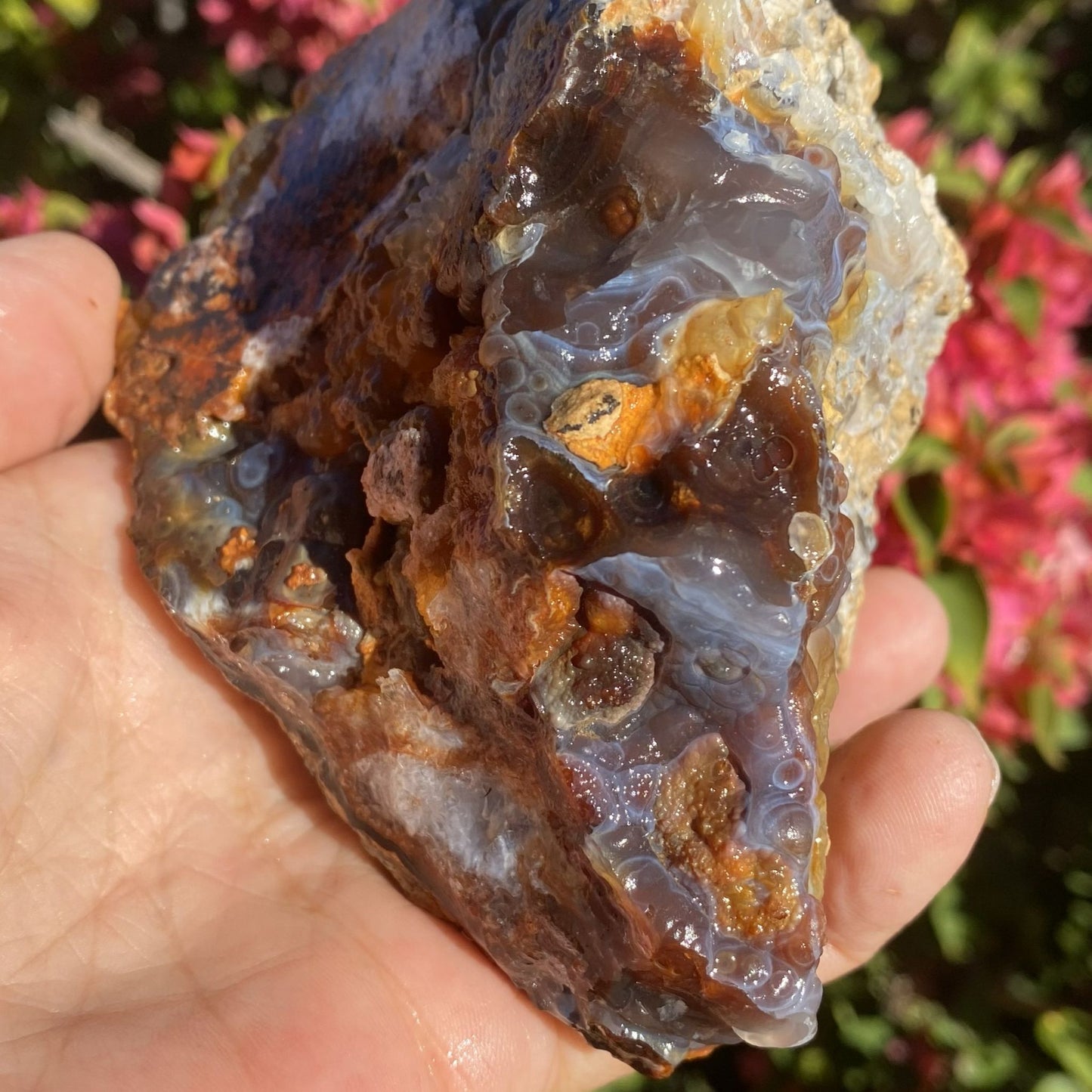 Slaughter Mountain Fire Agate Rough Mineral Specimen held in a hand with a blurred floral background