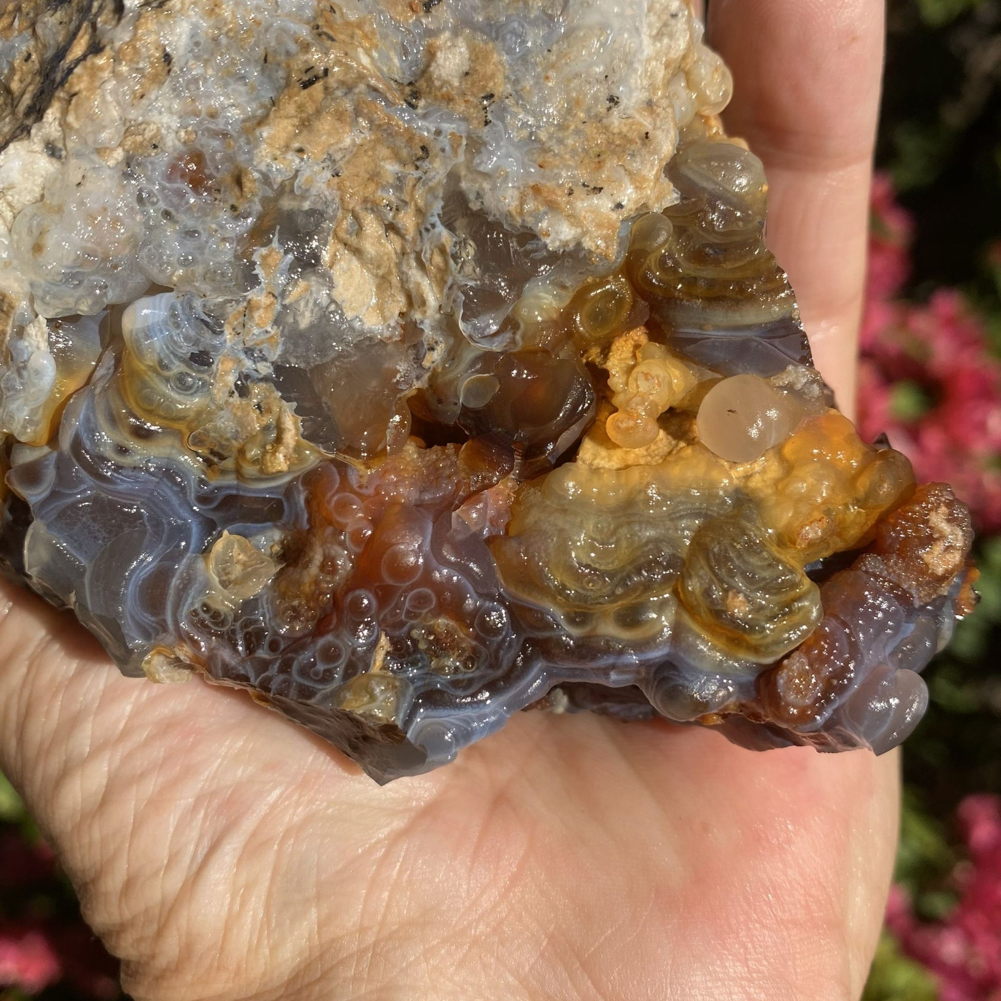 Close-up of a hand holding a Slaughter Mountain Fire Agate Rough Mineral Specimen with colorful patterns.