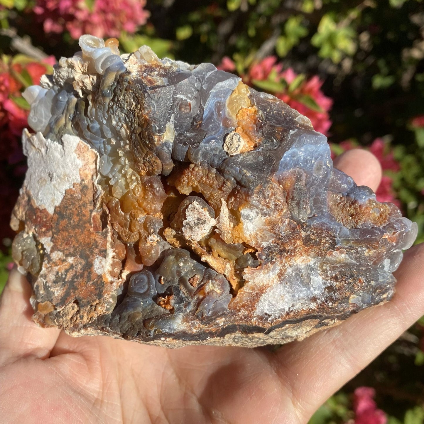 Slaughter Mountain Fire Agate Rough Mineral Specimen held in hand with blurred floral background
