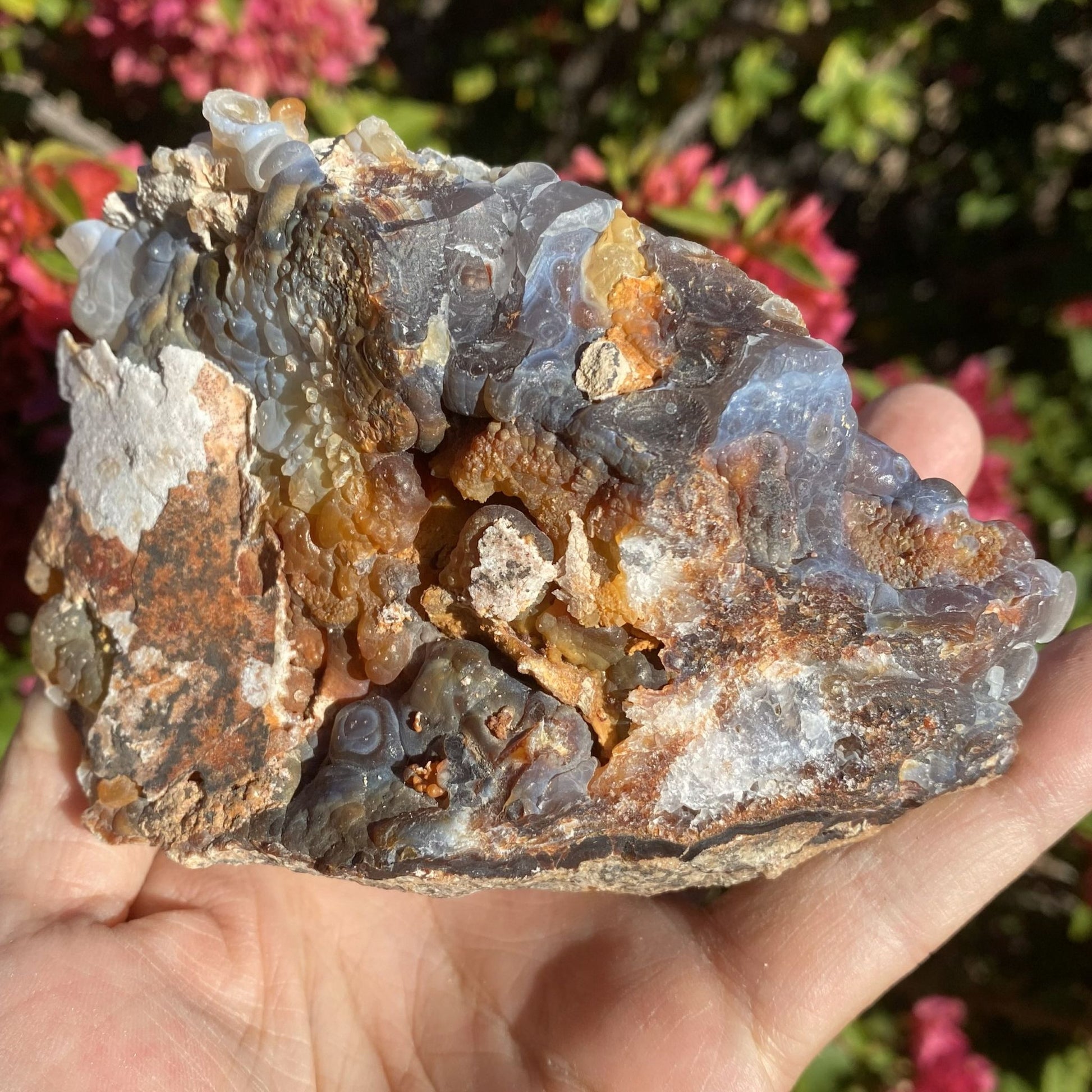 Slaughter Mountain Fire Agate Rough Mineral Specimen held in hand with blurred floral background