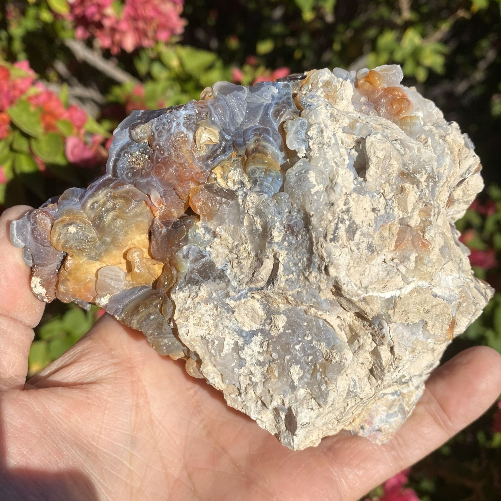 Hand holding a large crystal or mineral specimen with a blurred natural background