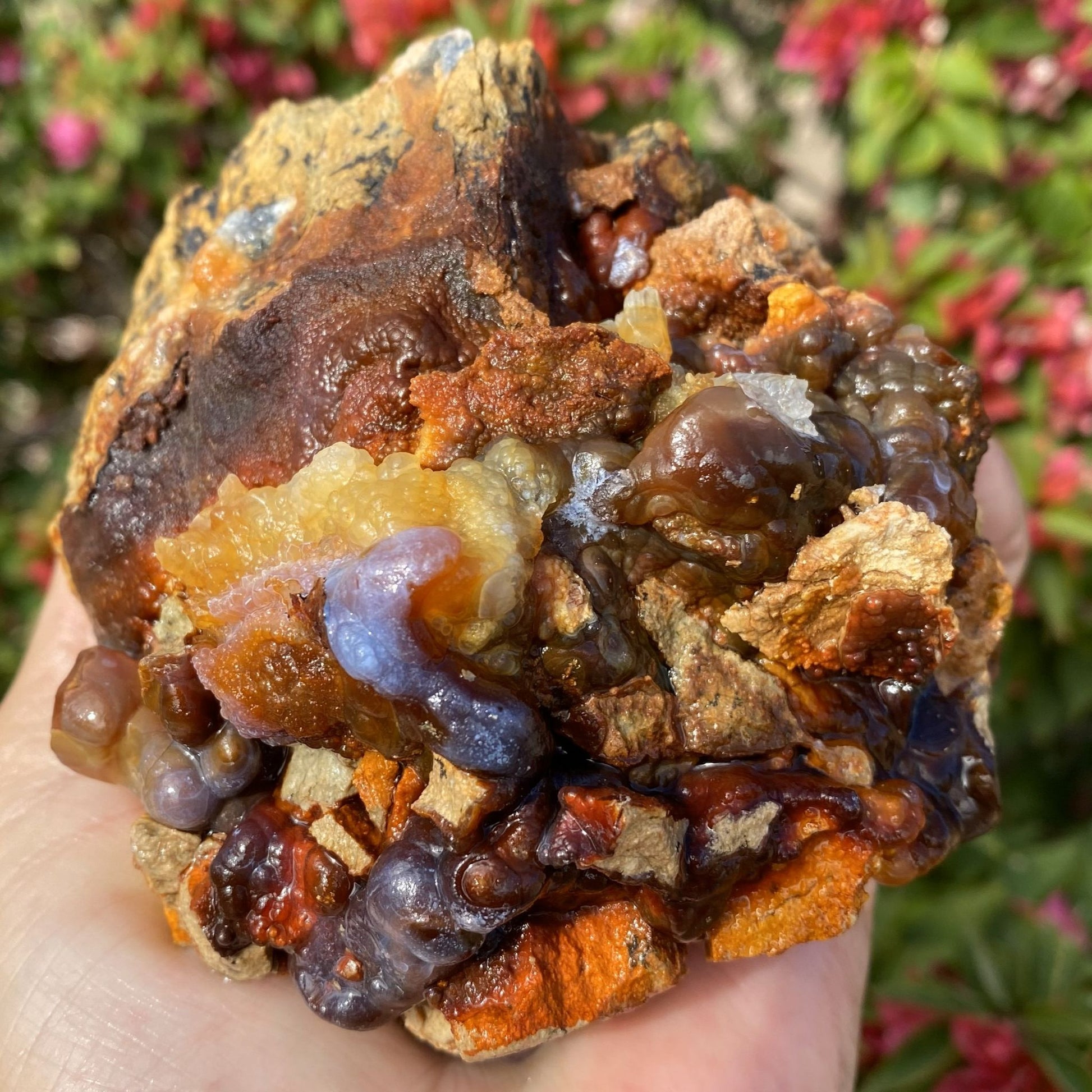 High grade fire agate rough mineral specimen held in hand with a blurred natural background