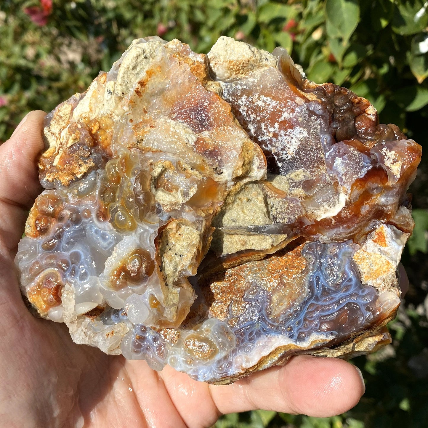 Hand holding a cabinet sized Slaughter Mountain Fire Agate Rough Mineral Specimen with a natural background