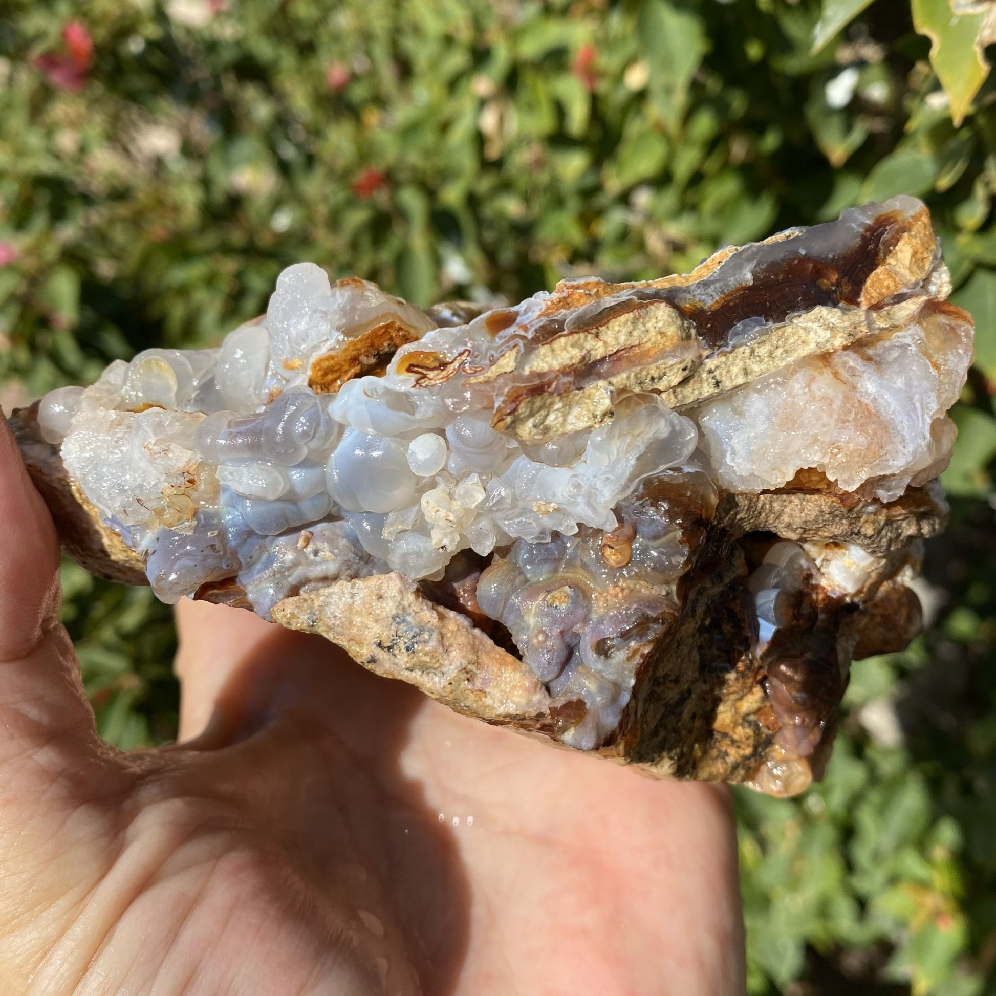Hand holding a cabinet sized Slaughter Mountain Fire Agate Rough Mineral Specimen with a natural green background