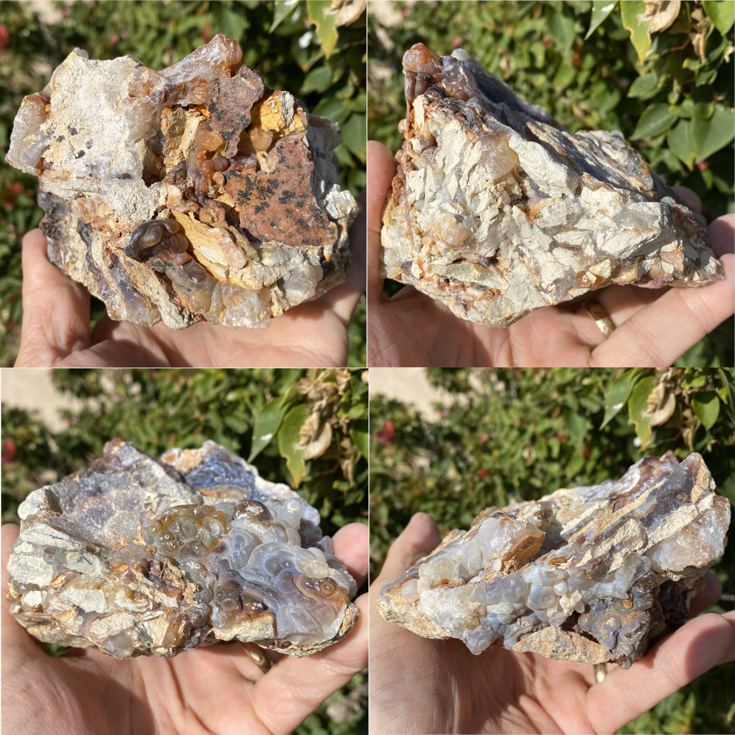 Collage of four images showing a hand holding a fire agate rough mineral specimen with a green leafy background.