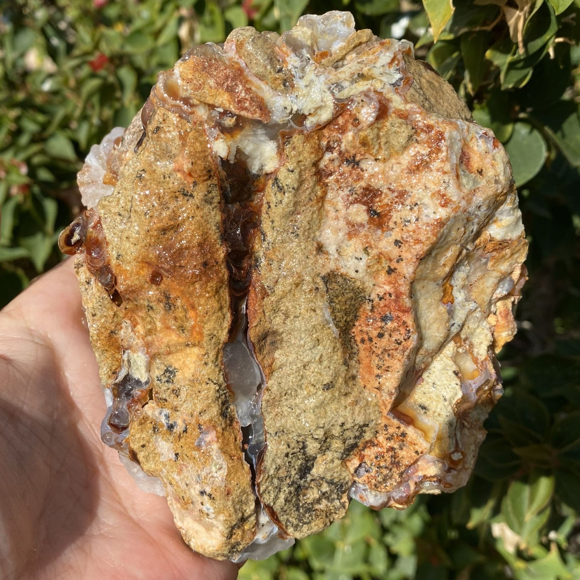 Hand holding a rough-textured stone with a natural outdoor background
