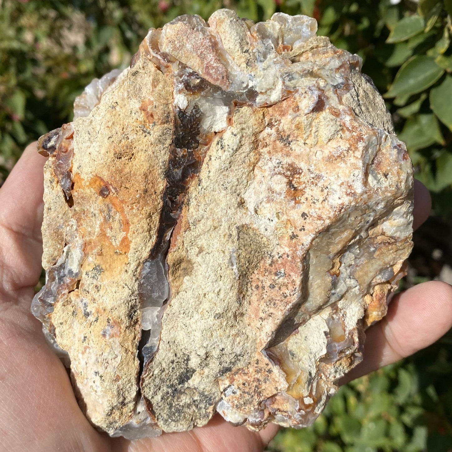 Hand holding a large crystal rock with a natural background