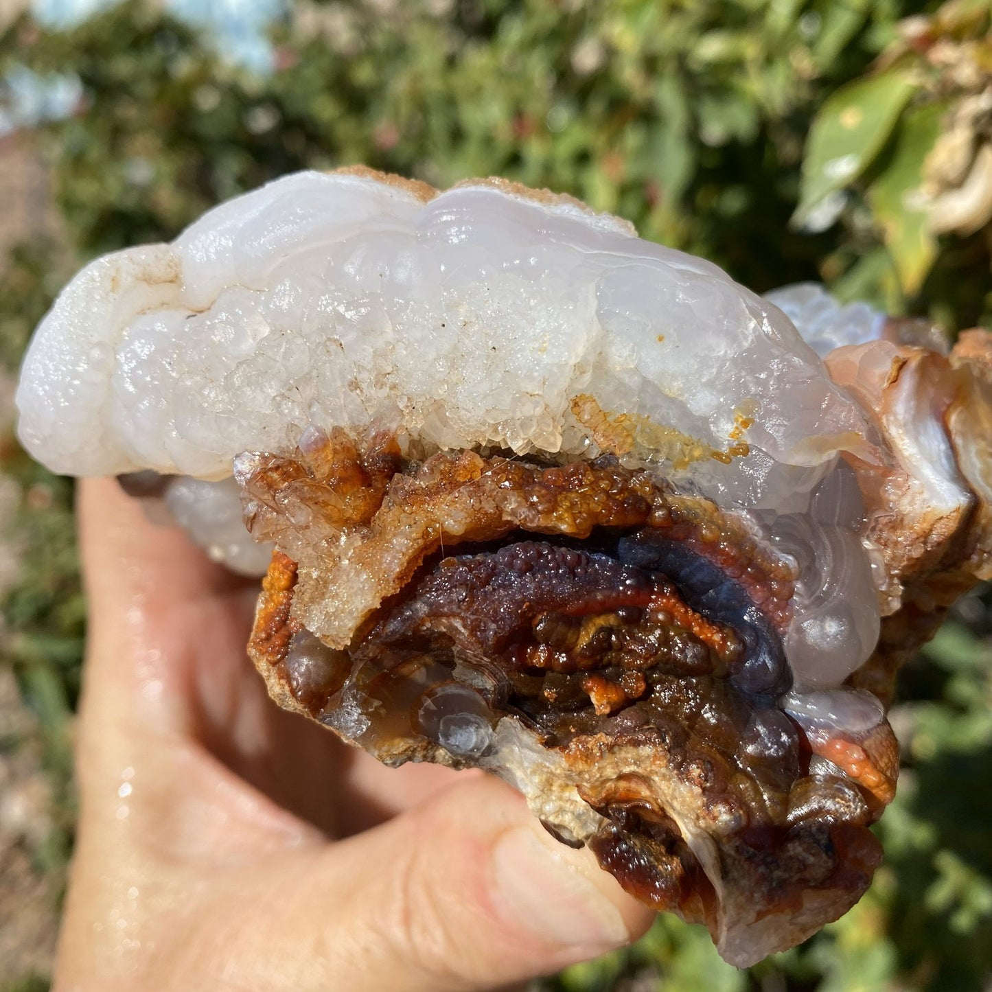 Fire Agate Rough Mineral Specimen Slaughter Mountain 1.83 Pounds SLM069