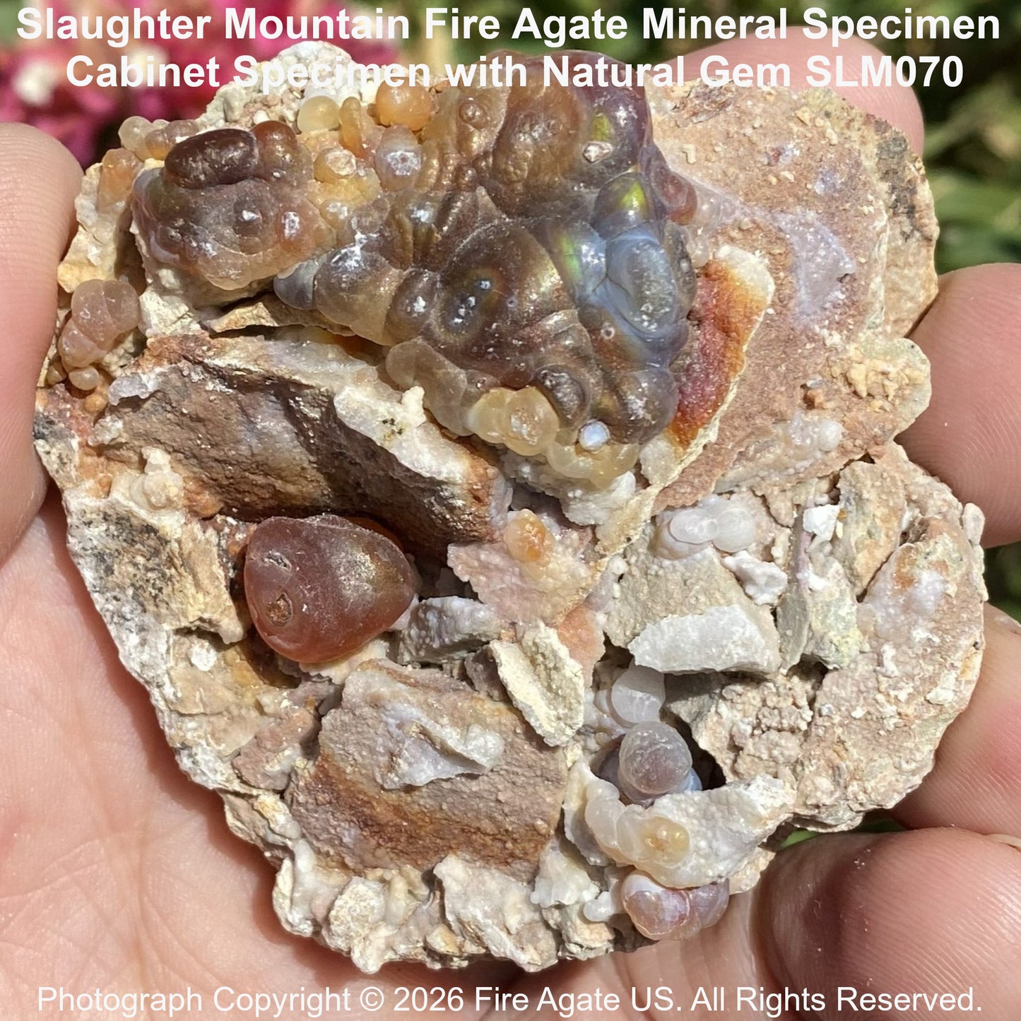 Fire Agate Rough Cabinet Sized Mineral Specimen with Natural Gem