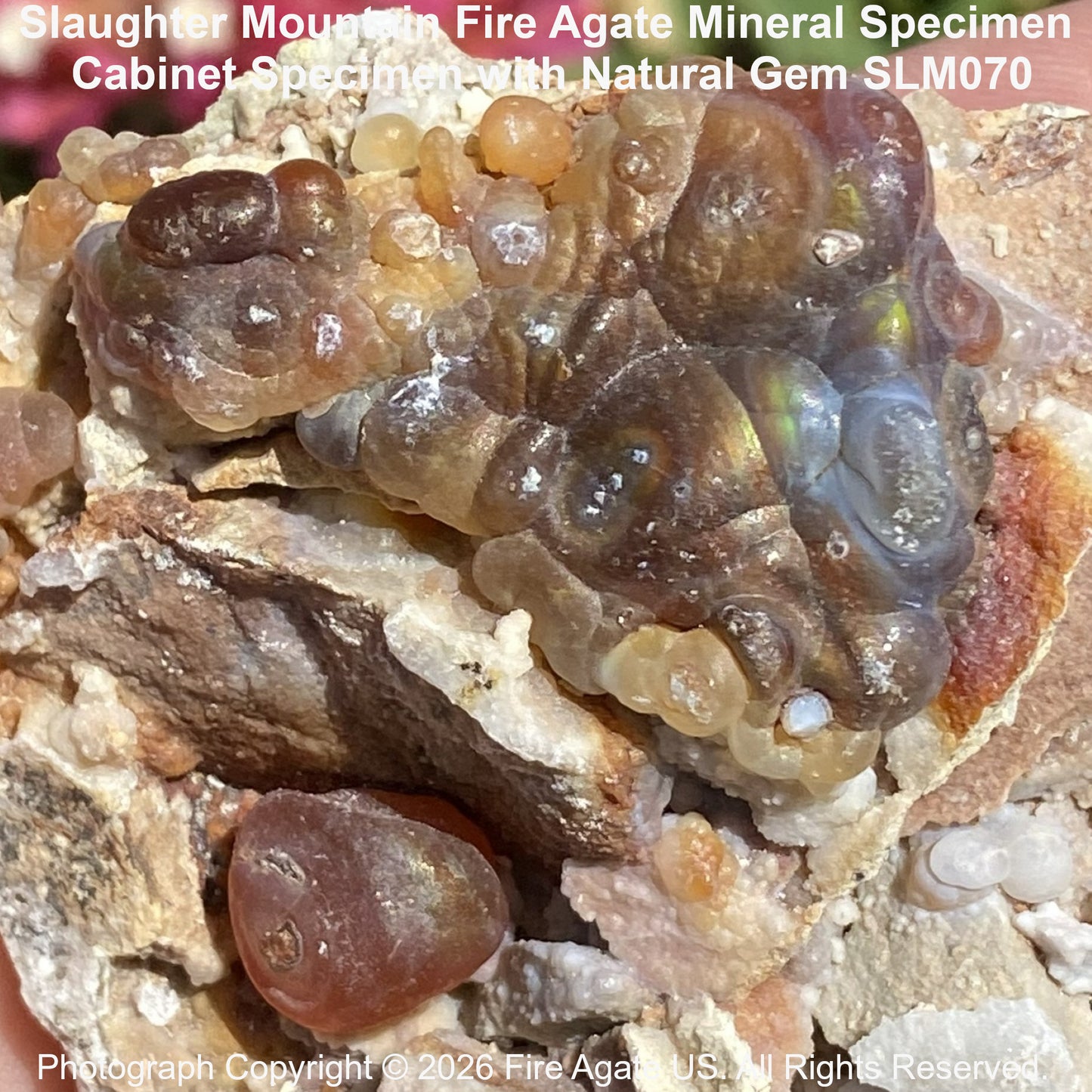 Close up of natural fire agate formation on natural matrix host rock