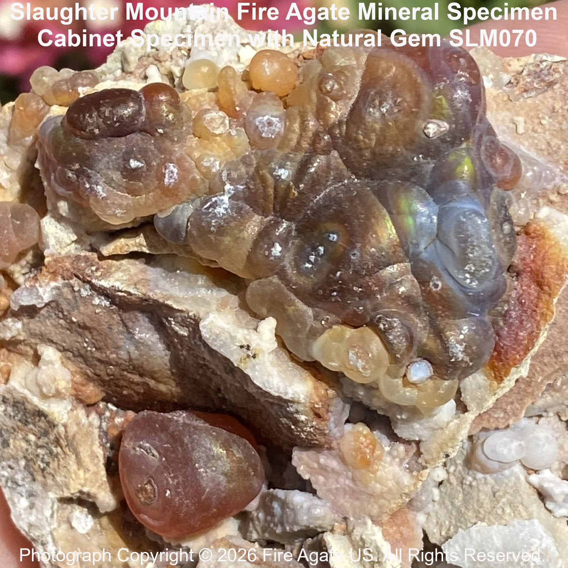 Close up of natural fire agate formation on natural matrix host rock