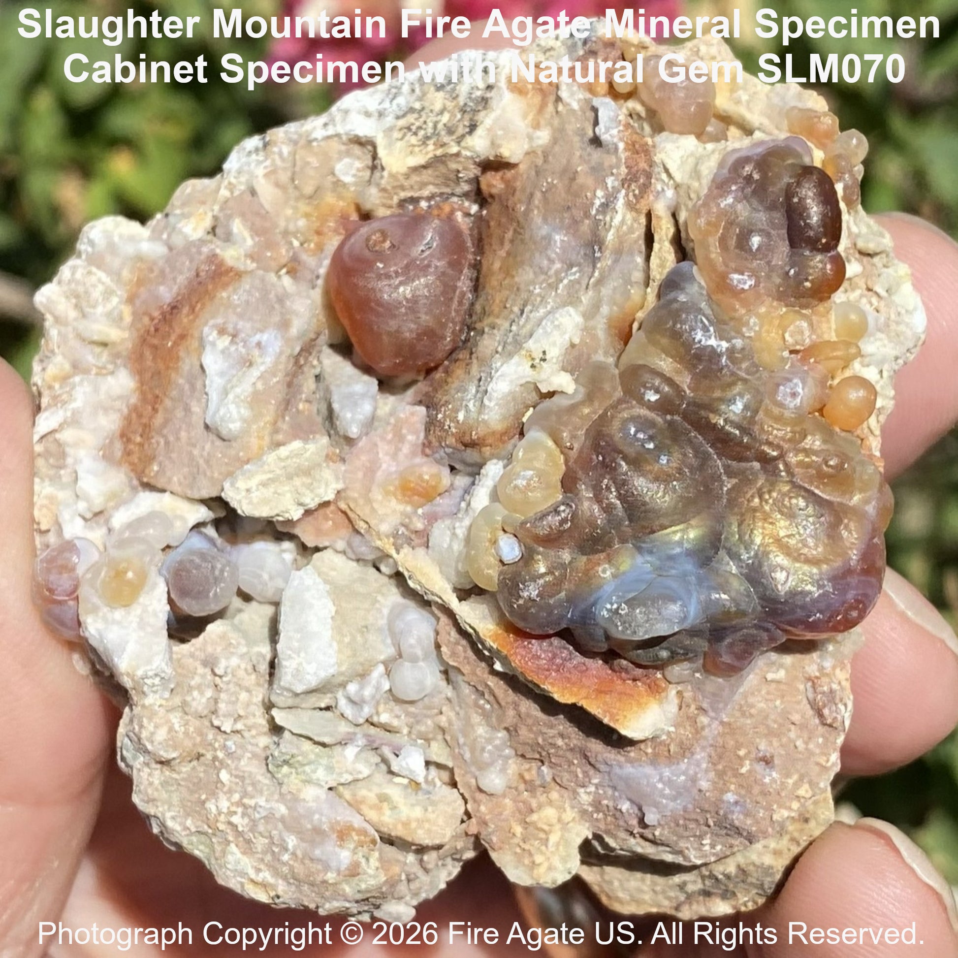 Fire agate gemstone formation sitting perfectly on its original brecciated rhyolite host rock, beautifully contrasted by pockets of rich carnelian chalcedony and crystalline druzy quartz.