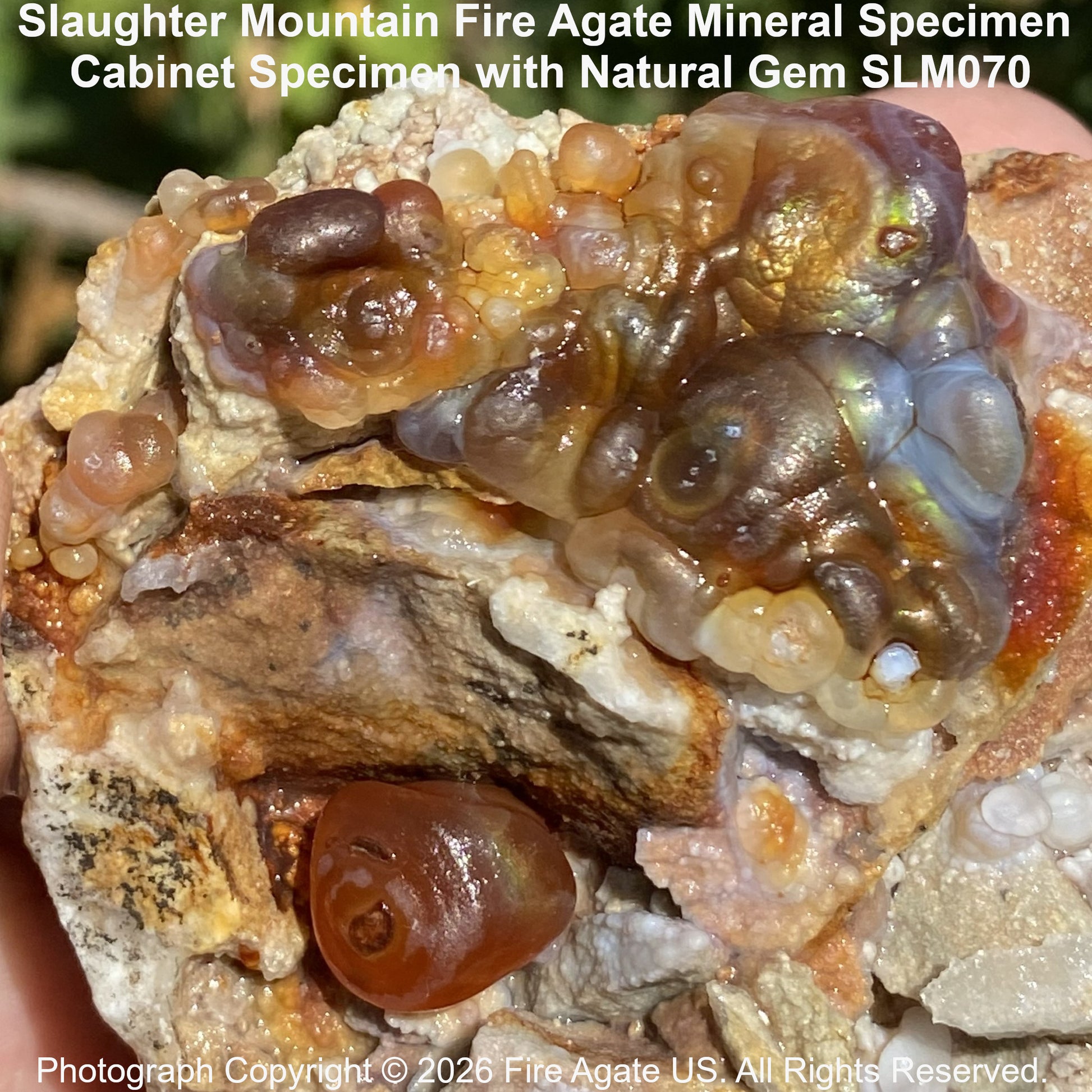 Iridescent chalcedony displaying a natural play of color caused by alternating layers of silica and iron oxides