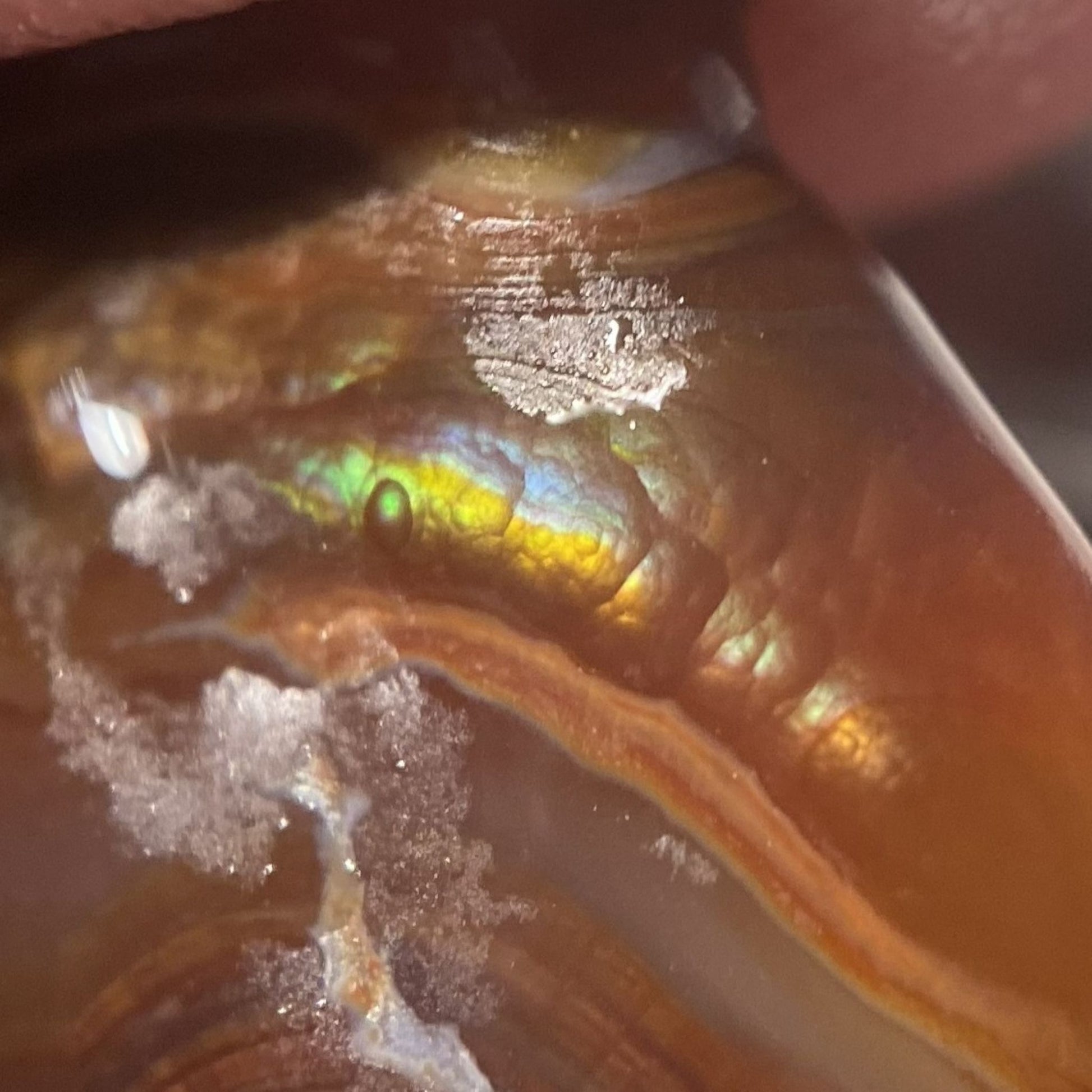 Close-up of a Slaughter Mountain preform fire agate gemstone with a colorful interior