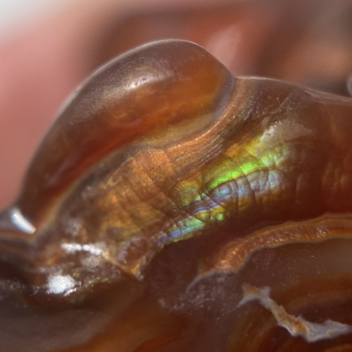 Close-up of a Slaughter Mountain preform fire agate gemstone with iridescent patterns