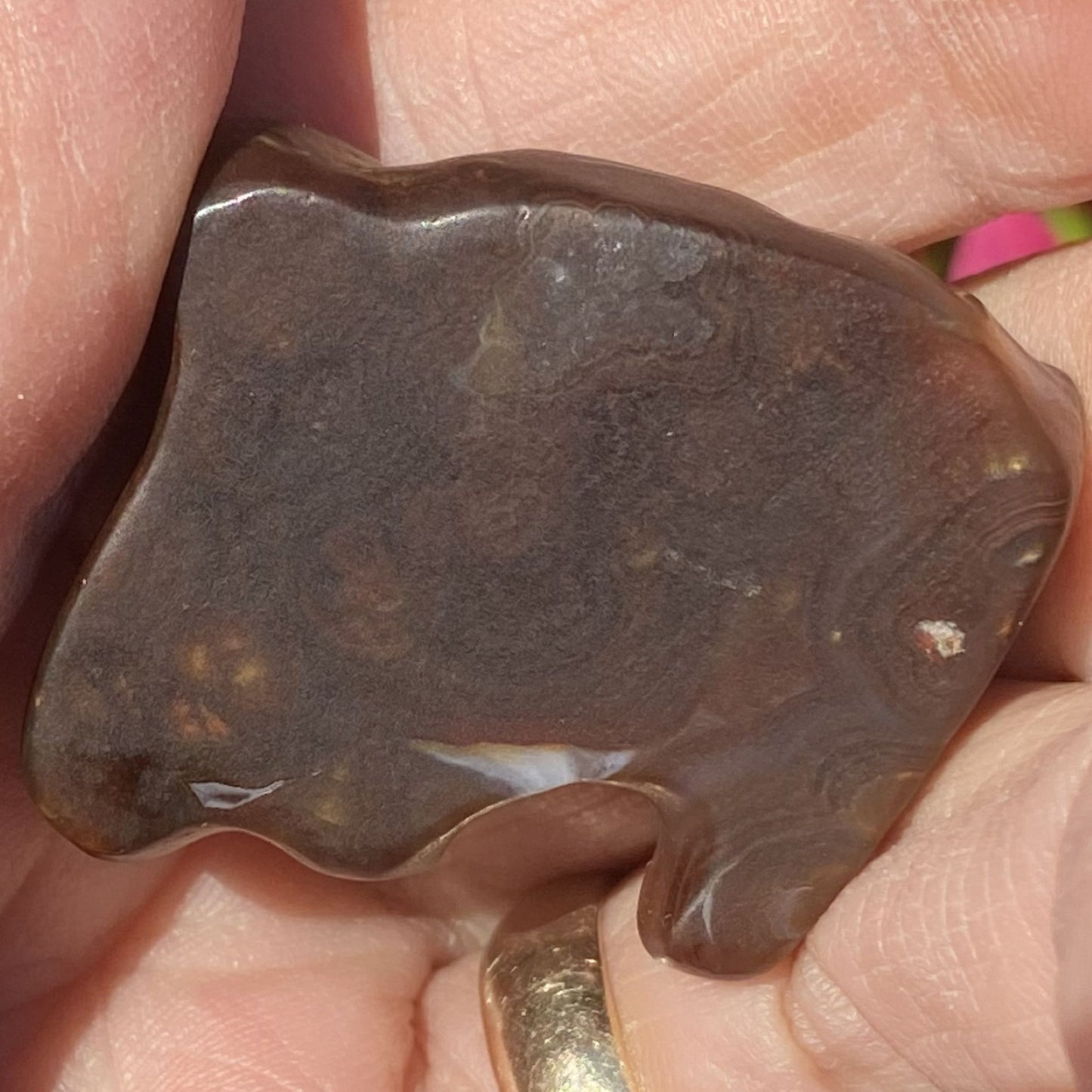 Close-up of a brown stone held between fingers