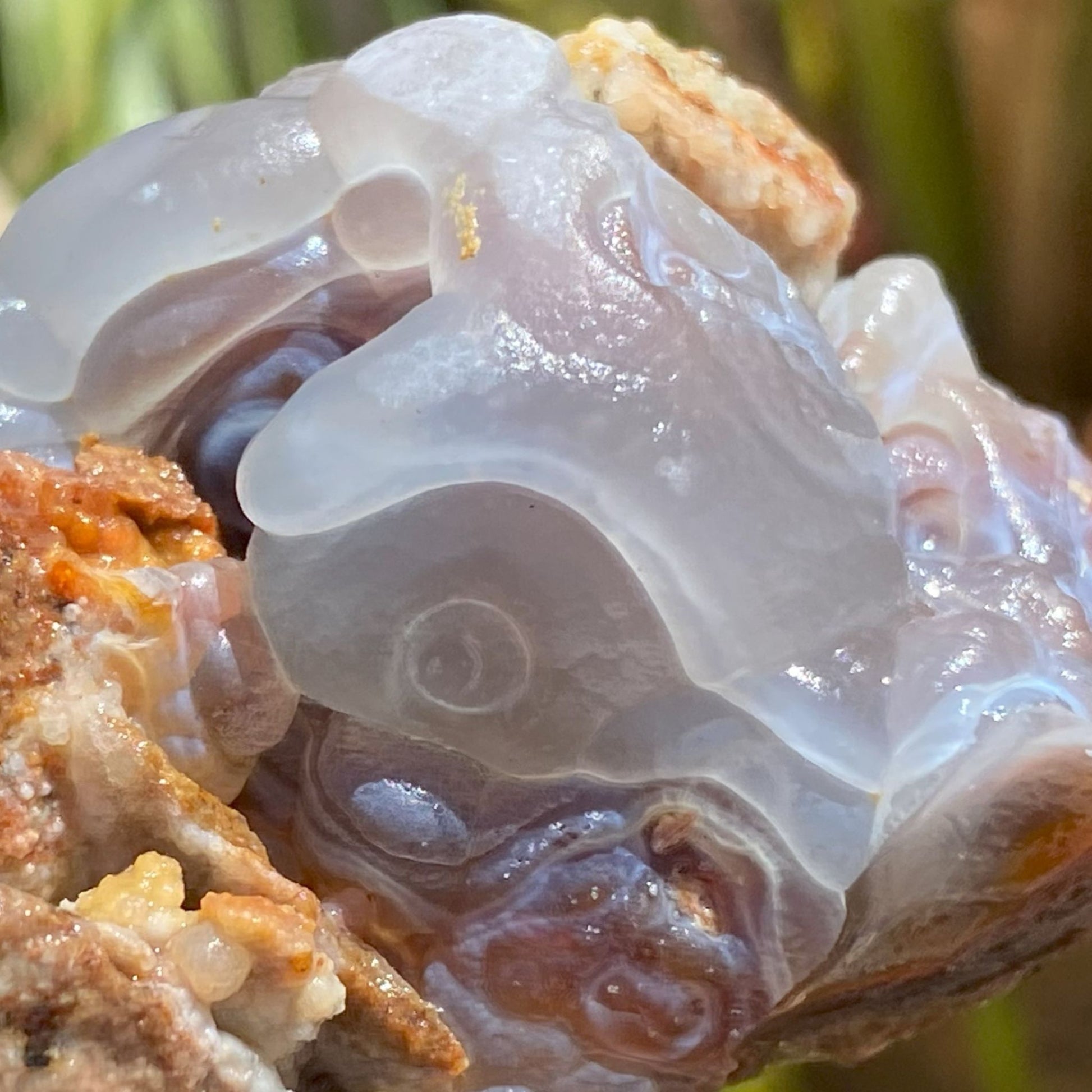 Close-up of a piece of Slaughter Mountain fire agate rough with brown and white patterns on a natural background