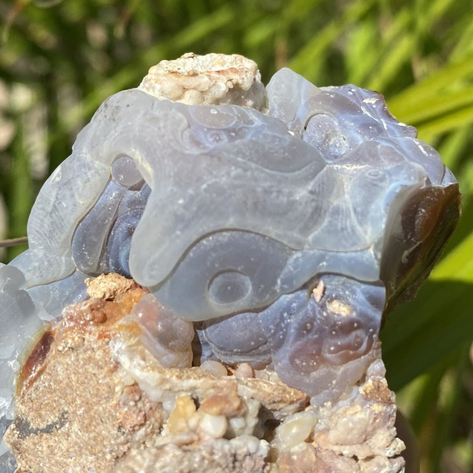 Close-up of a translucent crystal with a natural, outdoor background
