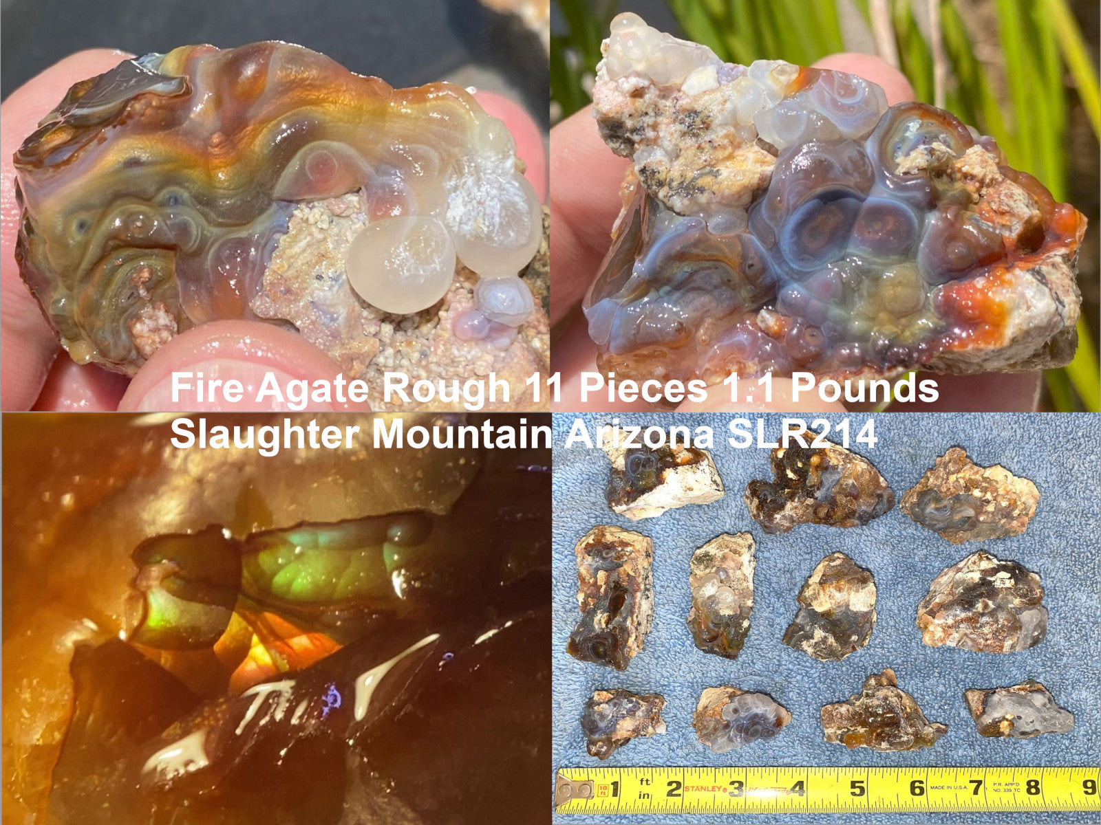 Fire Agate Rough from Slaughter Mountain, Arizona with close-up details and a scale for size reference.