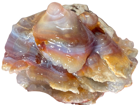 Multicolored piece of Slaughter Mountain fire agate rough on a white background