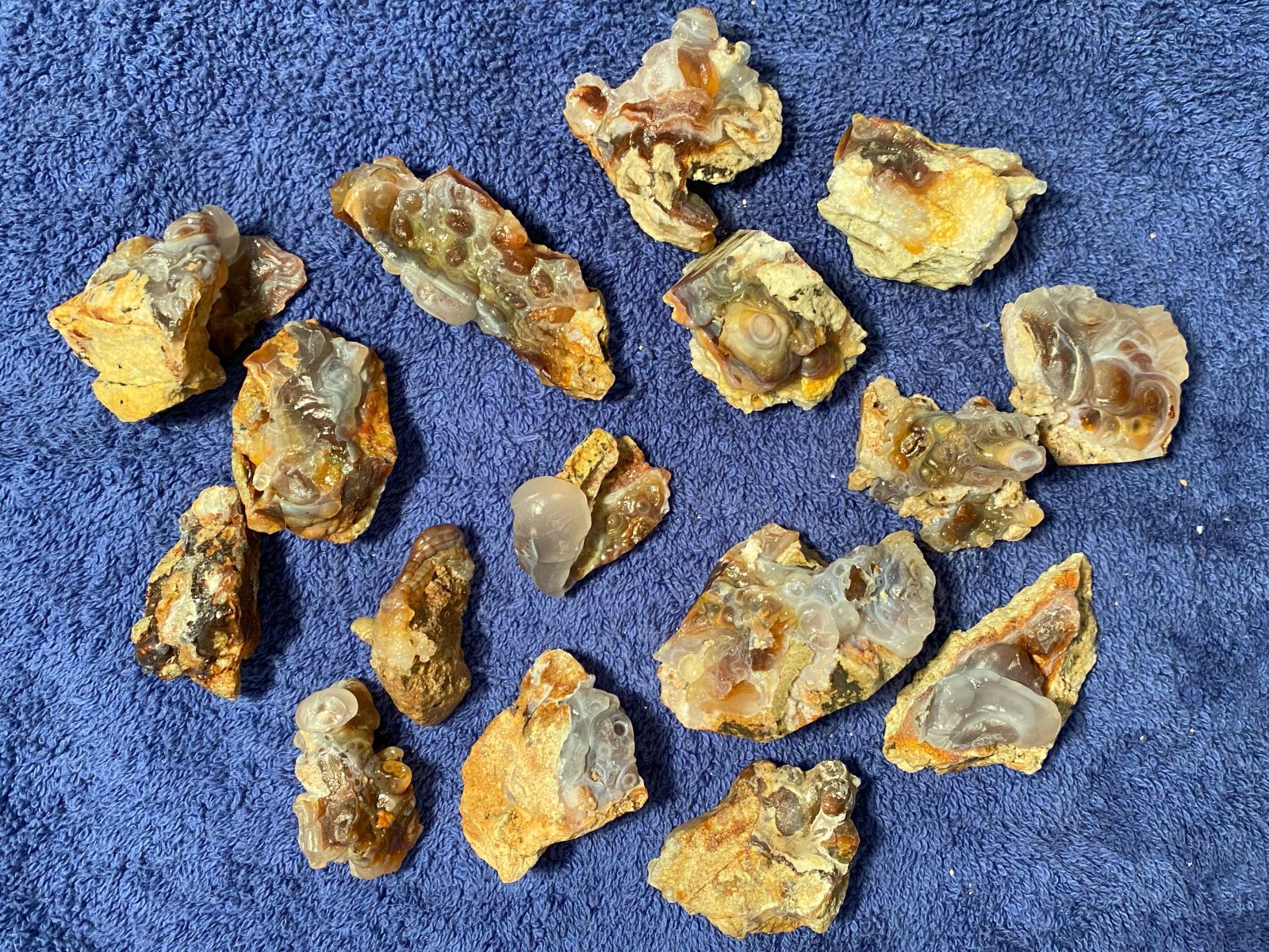 Collection of various sized pieces of Slaughter Mountain fire agate rough on a blue textured surface