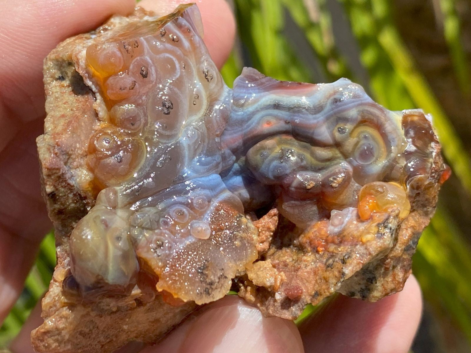 Close-up of a hand holding a piece of High Grade Slaughter Mountain Fire Agate Rough with colorful patterns.