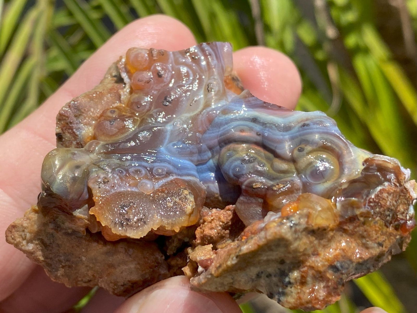 Hand holding a piece ofHigh Grade Slaughter Mountain Fire Agate Rough with a blurred natural background