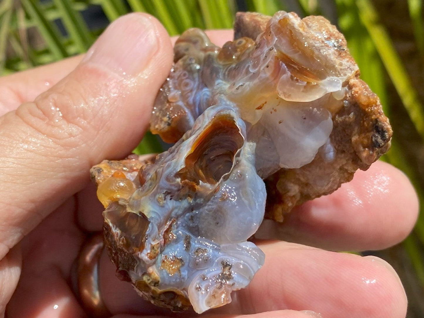 Hand holding a large piece of High Grade Slaughter Mountain Fire Agate Rough with a natural background