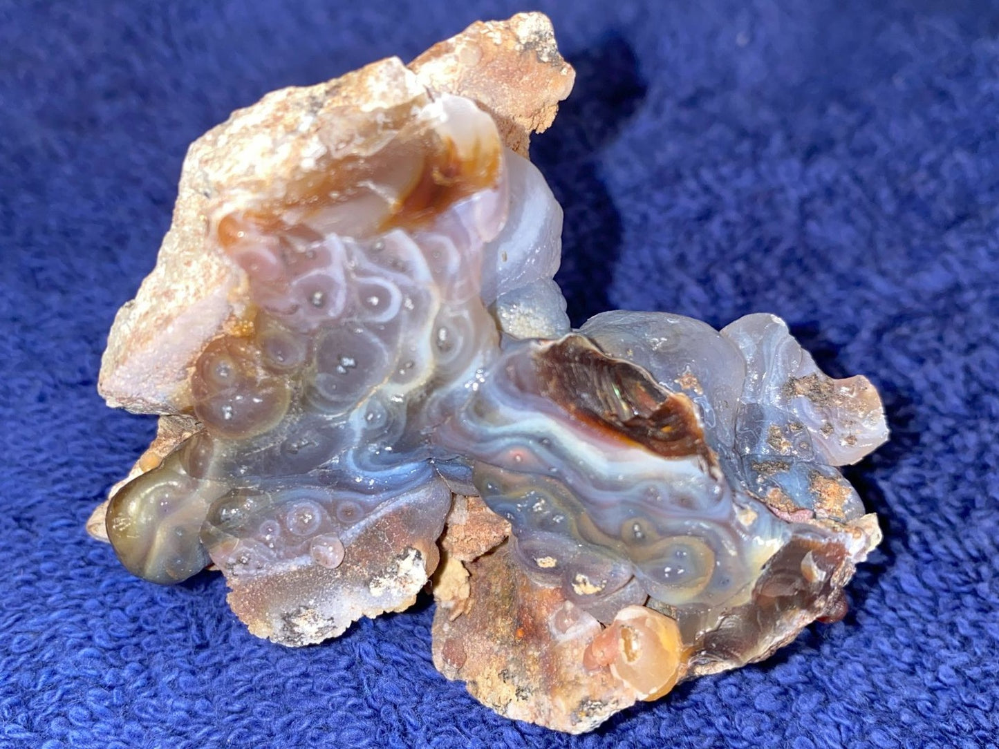 High Grade Slaughter Mountain Fire Agate Rough on a blue textured background
