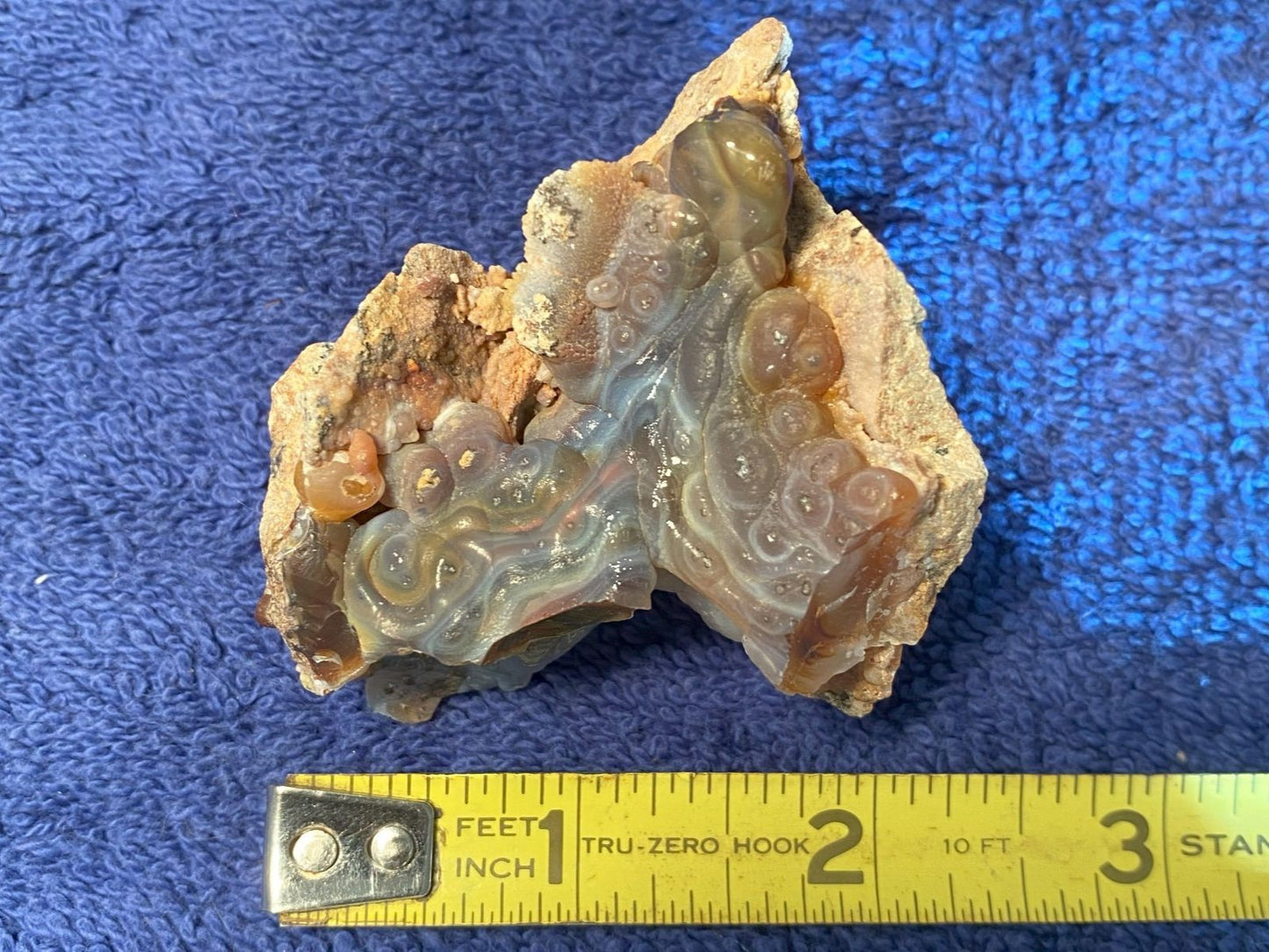 High Grade Slaughter Mountain Fire Agate Rough with a blue background and a measuring tape for scale.