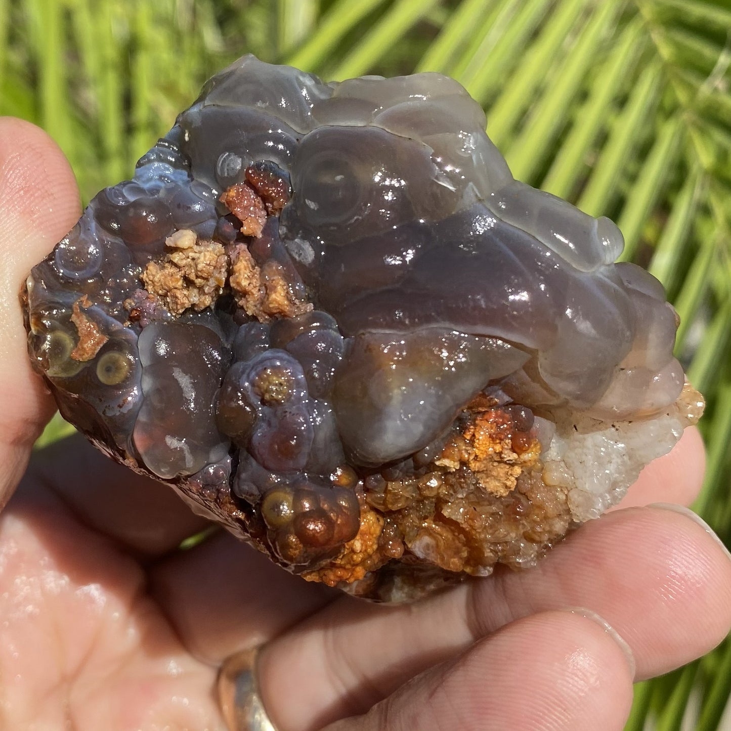 Hand holding a piece of Slaughter Mountain Fire Agate Rough against a natural background