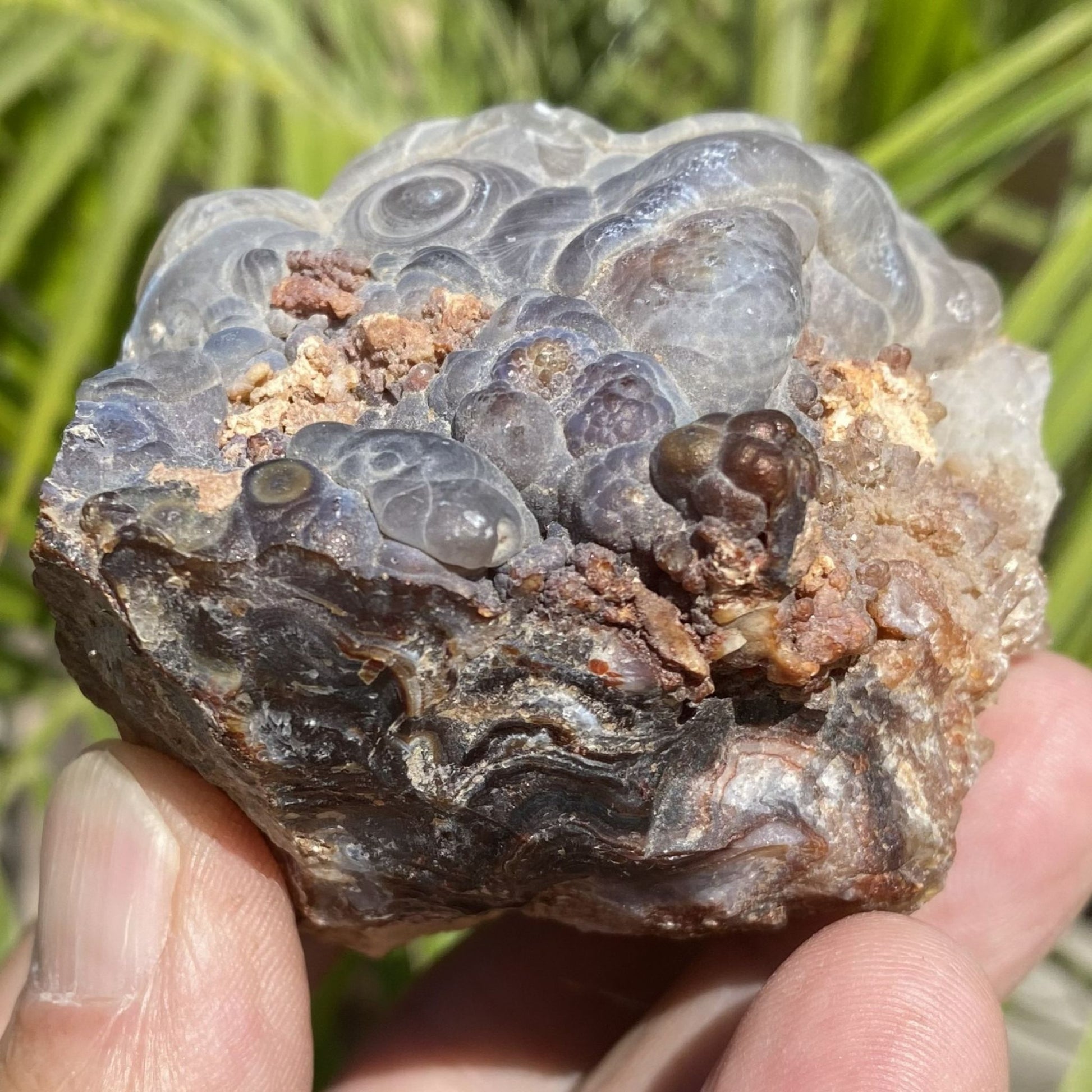 Close-up of a hand holding a piece of Slaughter Mountain Fire Agate Rough  with a natural background