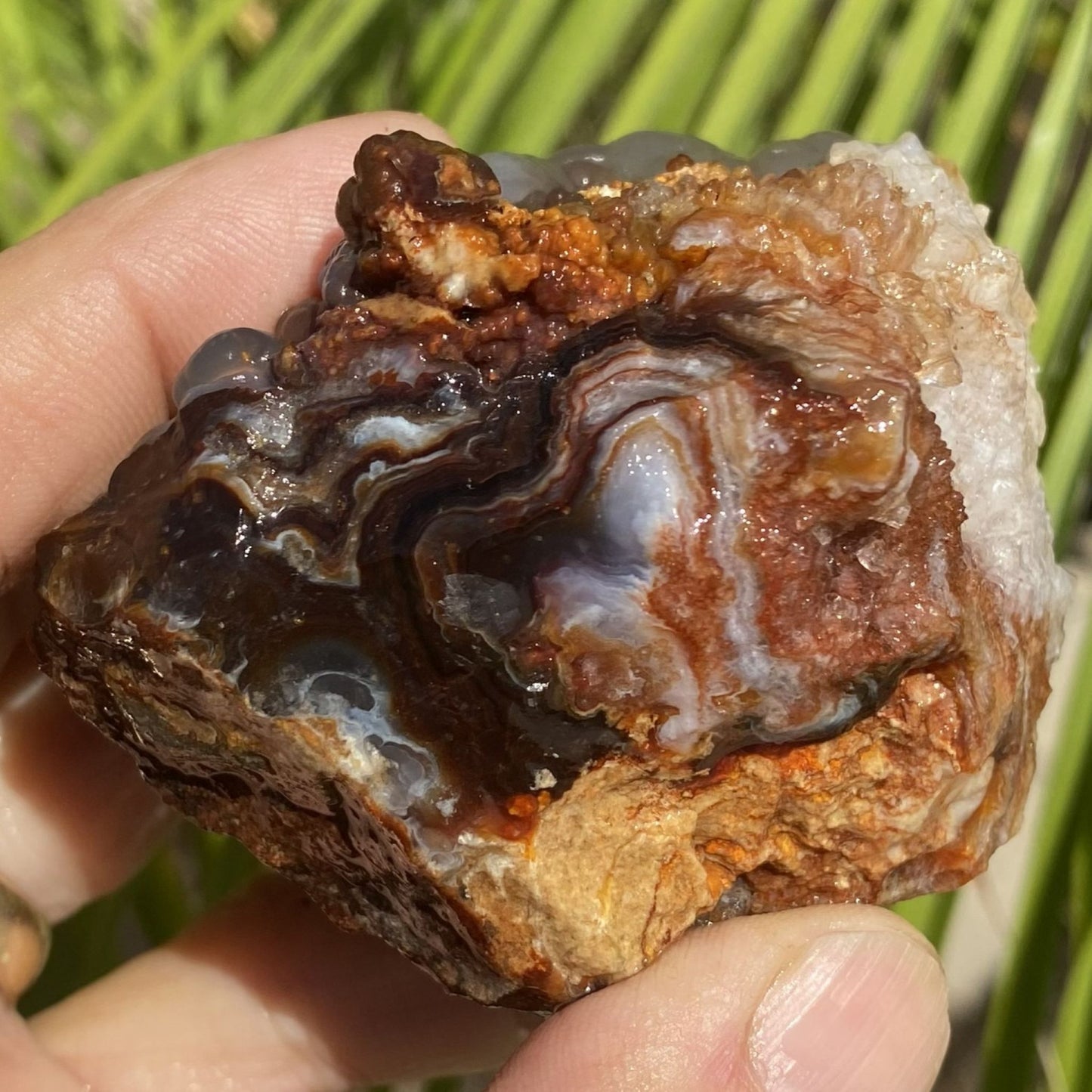 Hand holding a rough, multicolored agate stone with a natural background