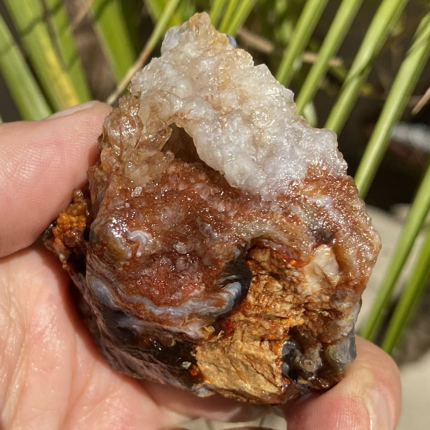 Hand holding a large crystal fire agate rock with a natural background
