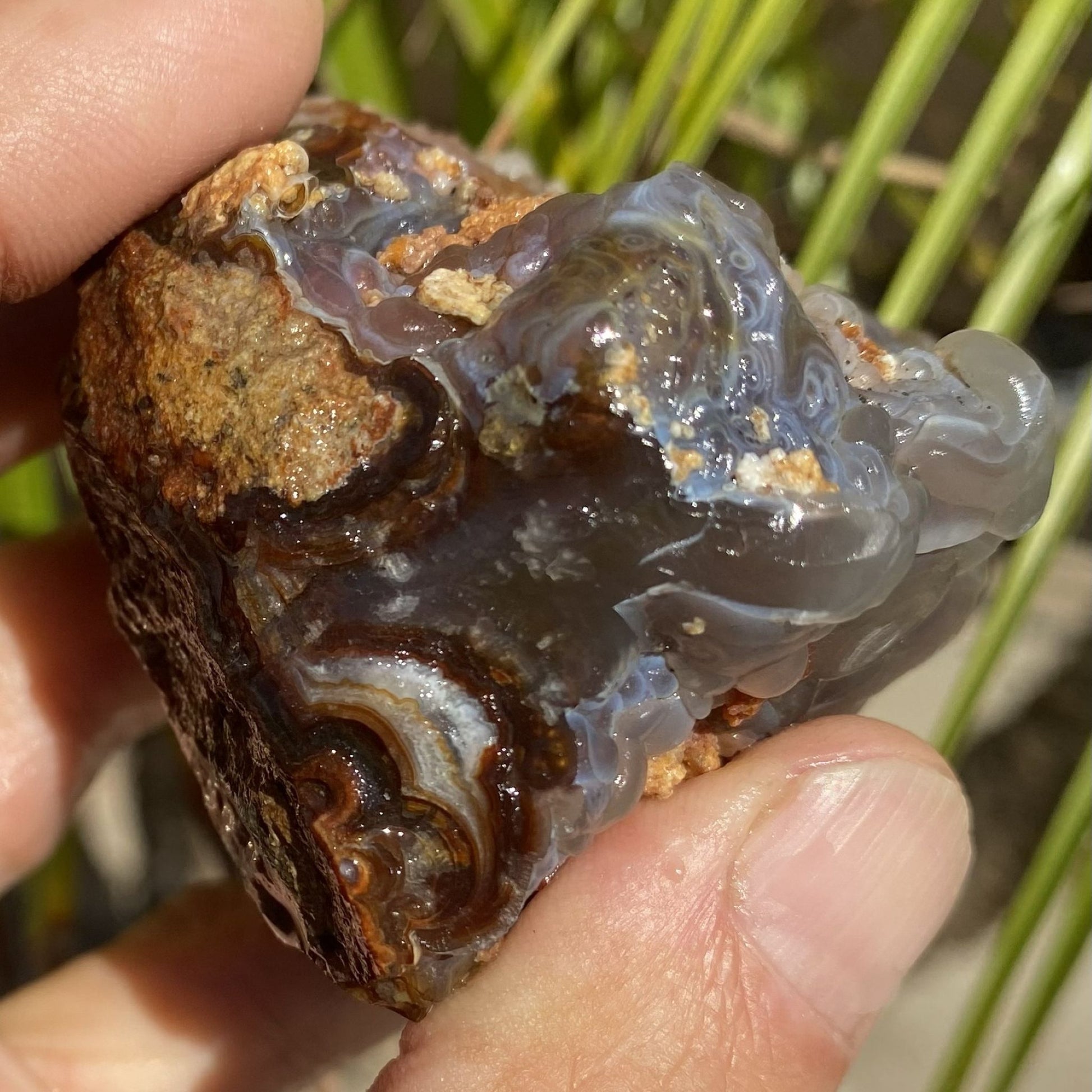 Person holding a translucent fire agate stone with brown patterns against a natural background