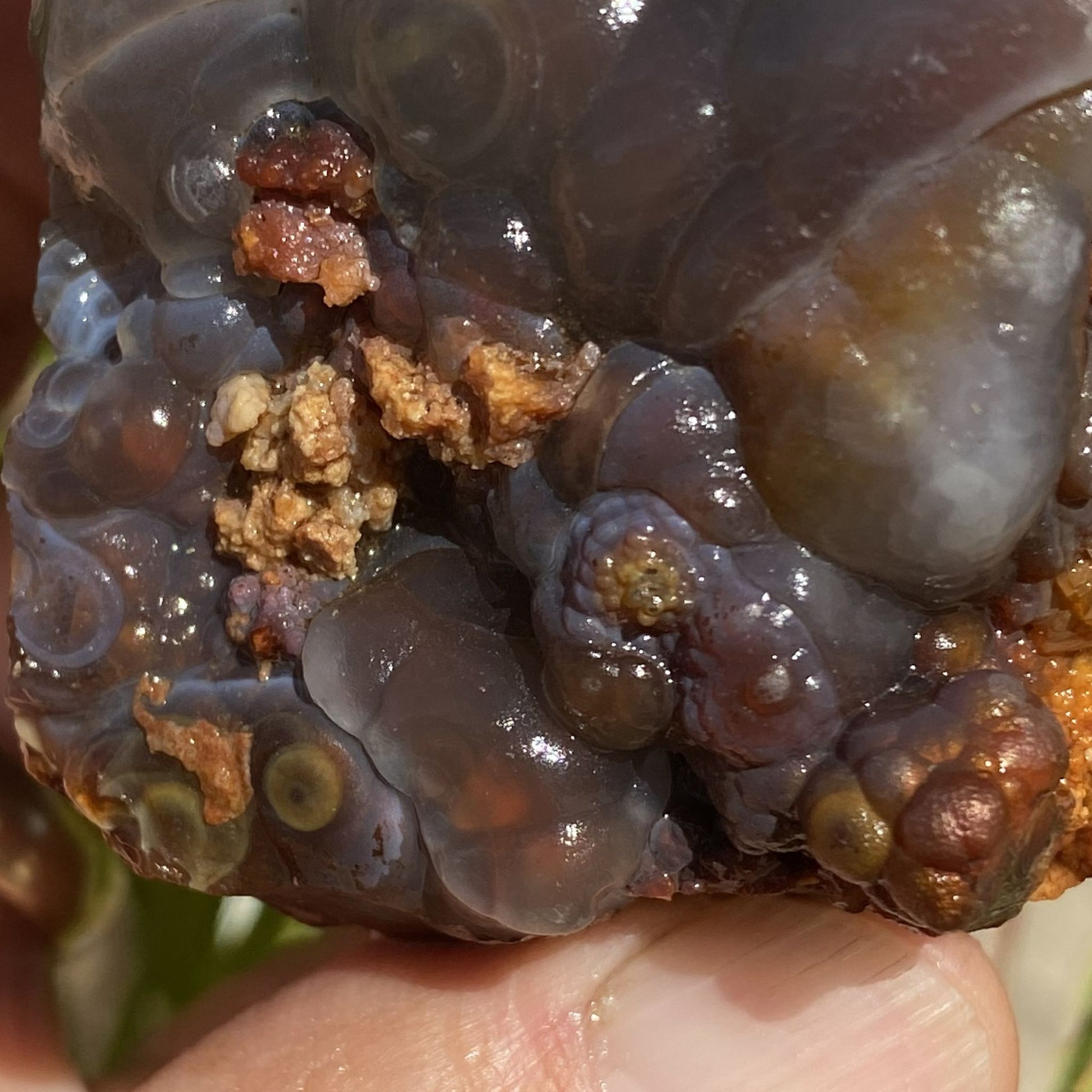 Close-up of a translucent piece of Slaughter Mountain Fire Agate Rough with embedded minerals on a blurred background
