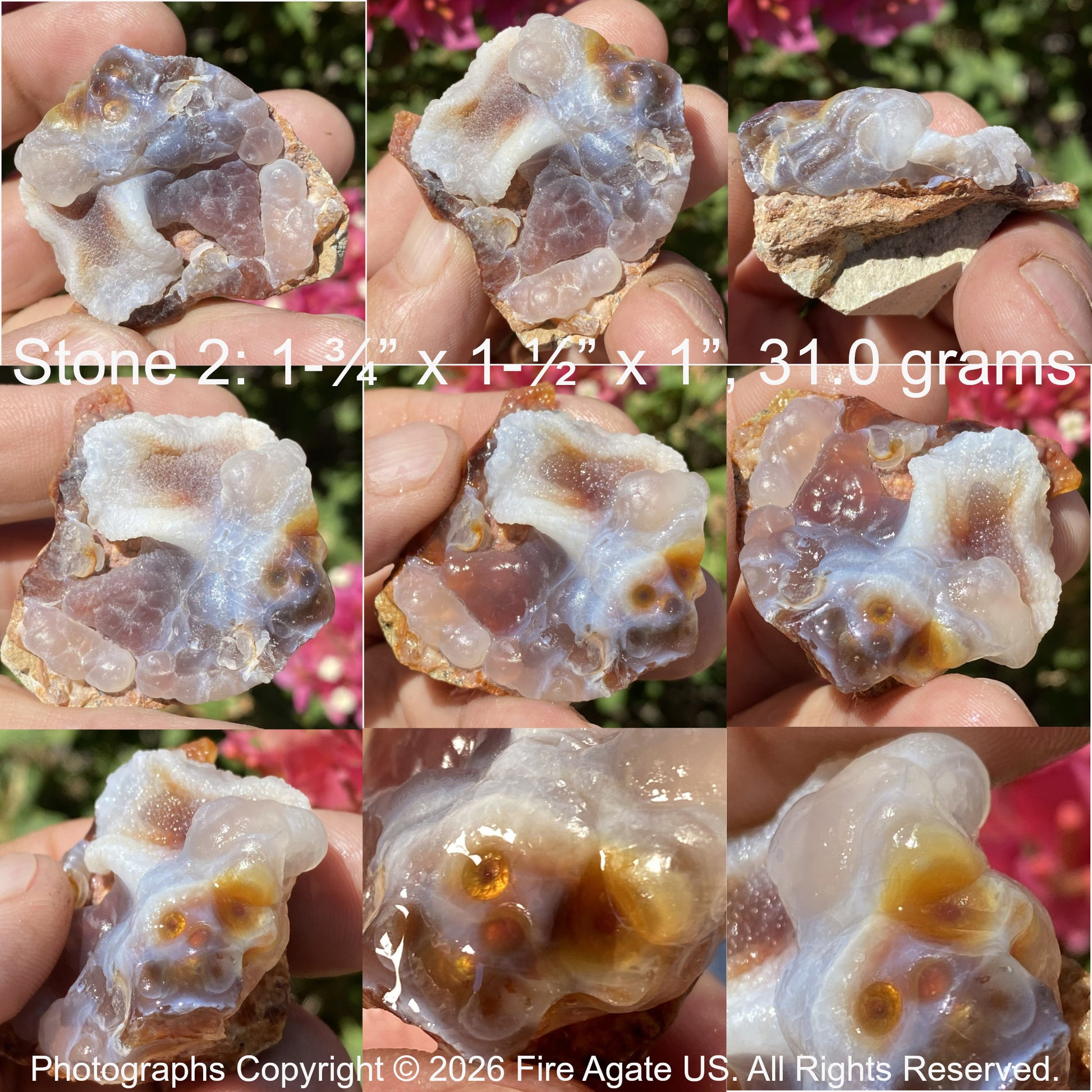 Collage of Slaughter Mountain fire agate rough stones held in hands with measurements and weight details.