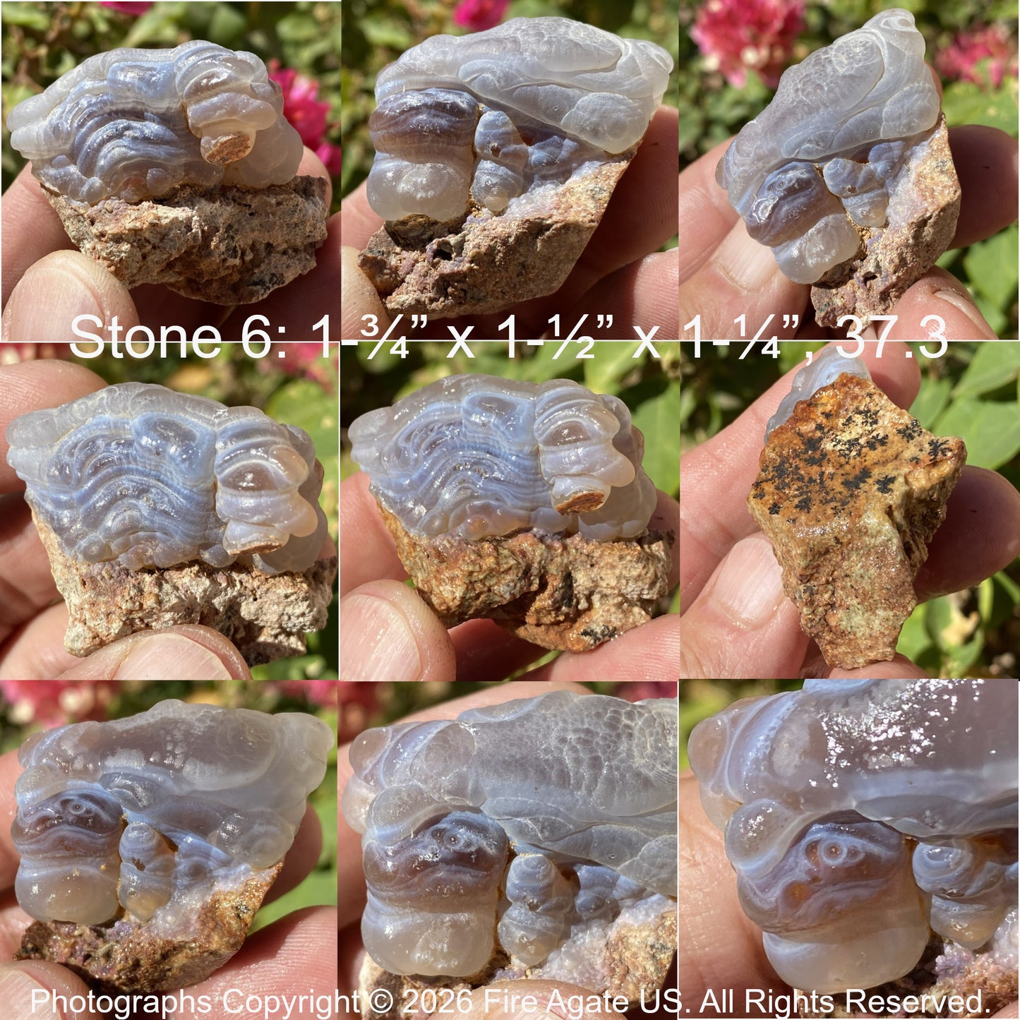 Close-up of a piece of Slaughter Mountain Arizona fire agate rough held in a hand with measurements overlaid.