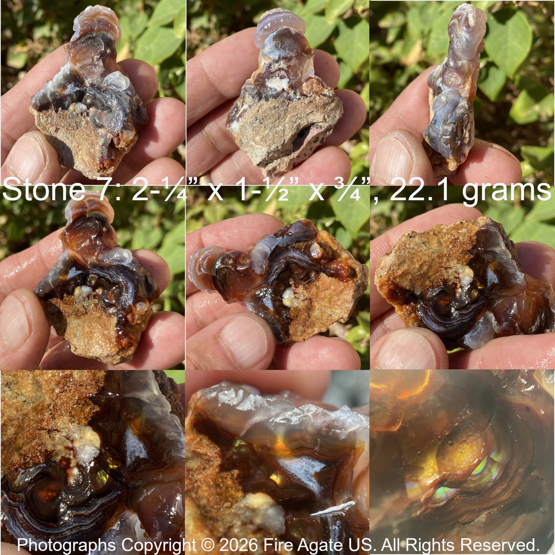 A fiery piece of Fire Agate rough held in hand with measurements and copyright notice.