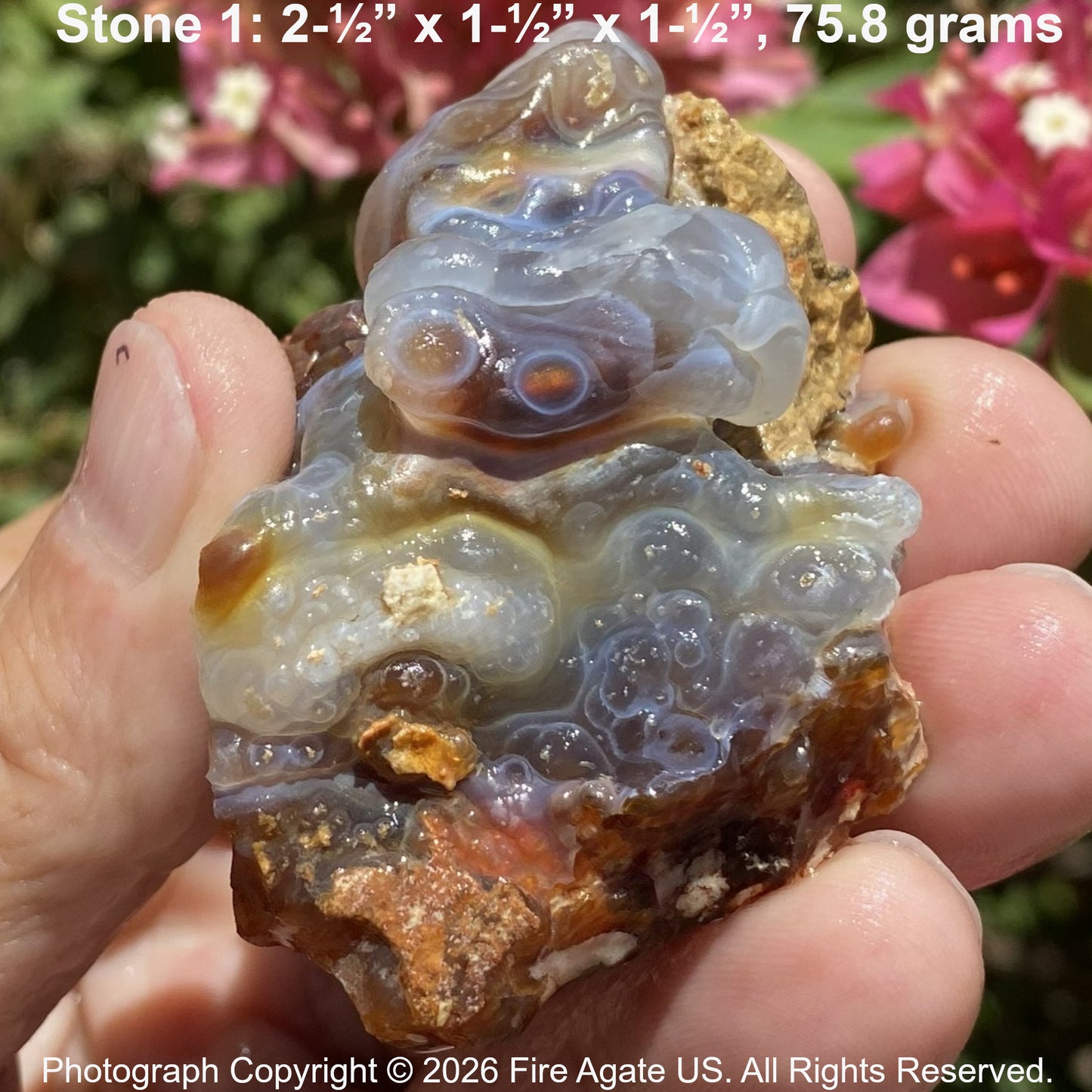 Hand holding a raw Fire Agate stone with dimensions and weight text overlay