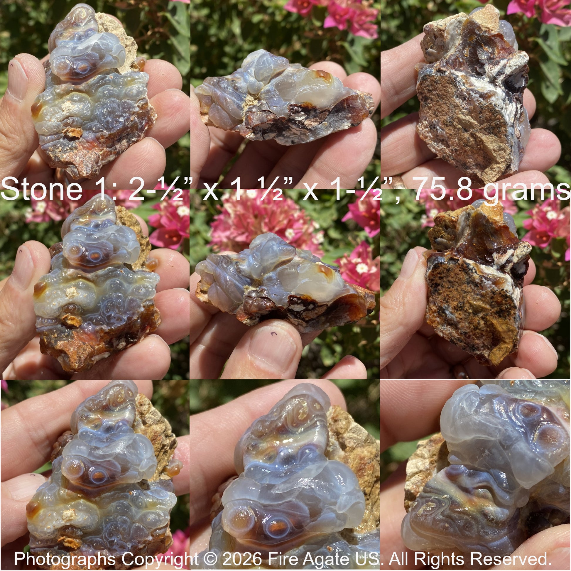 Collage of a Slaughter Mountain fire agate held in a hand with measurements and weight details, set against a blurred floral background.