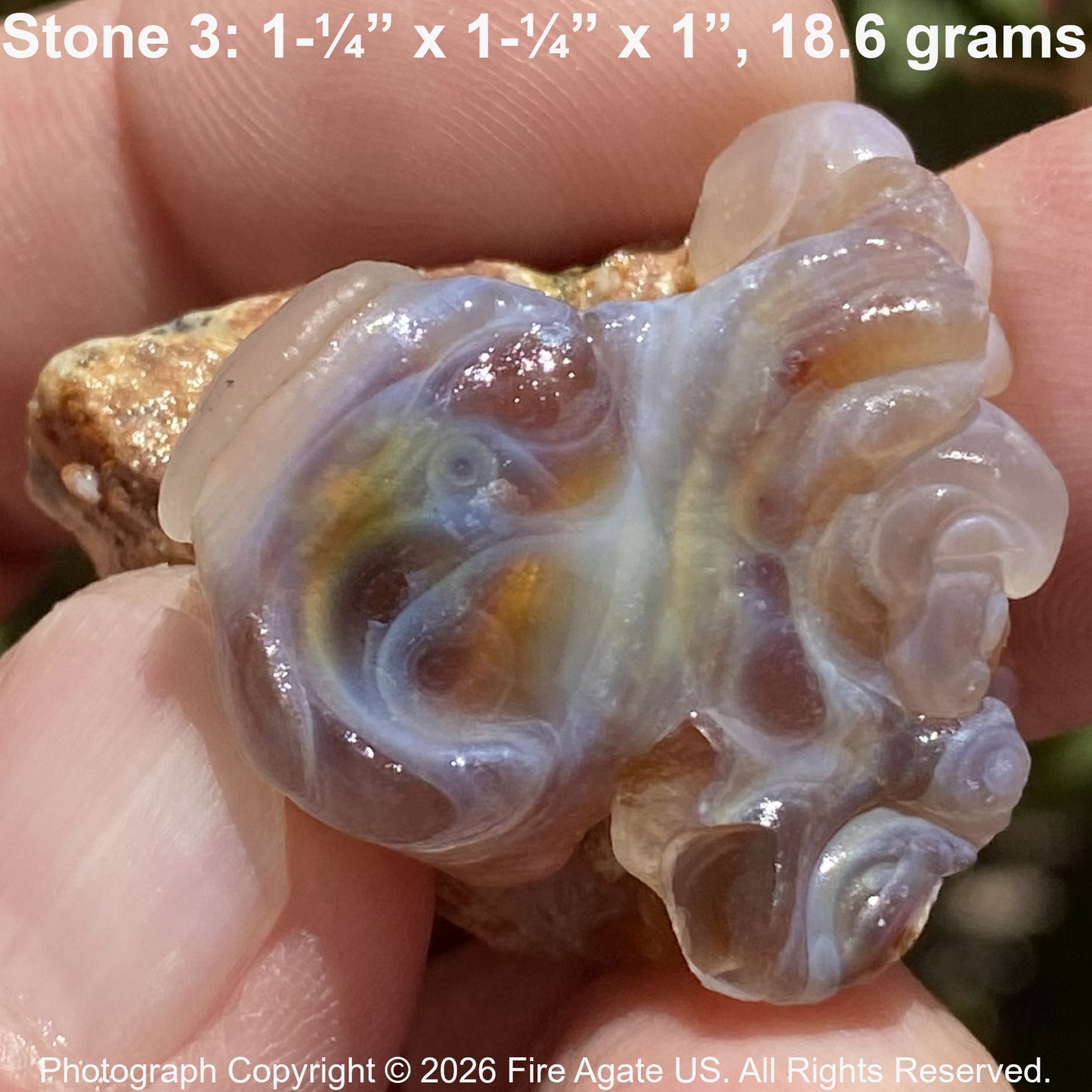 Close-up of an uncut Fire Agate stone held between fingers, with dimensions and weight displayed.